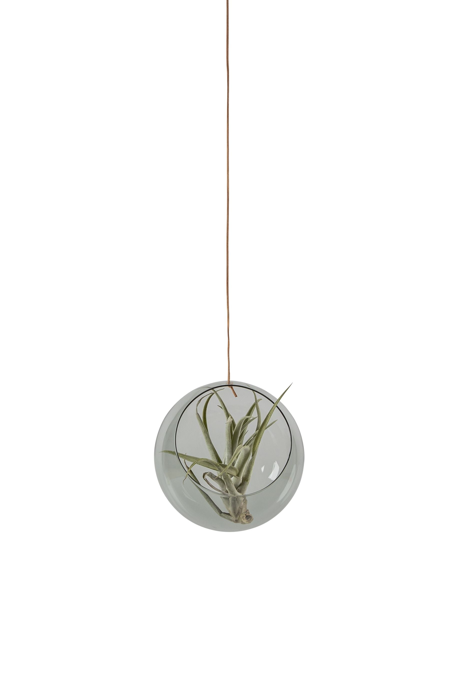 [product_category]-Studio About Hanging Plant Bubble Vase Large, Smoke-Studio About-5714356004012-135100S-STU-1