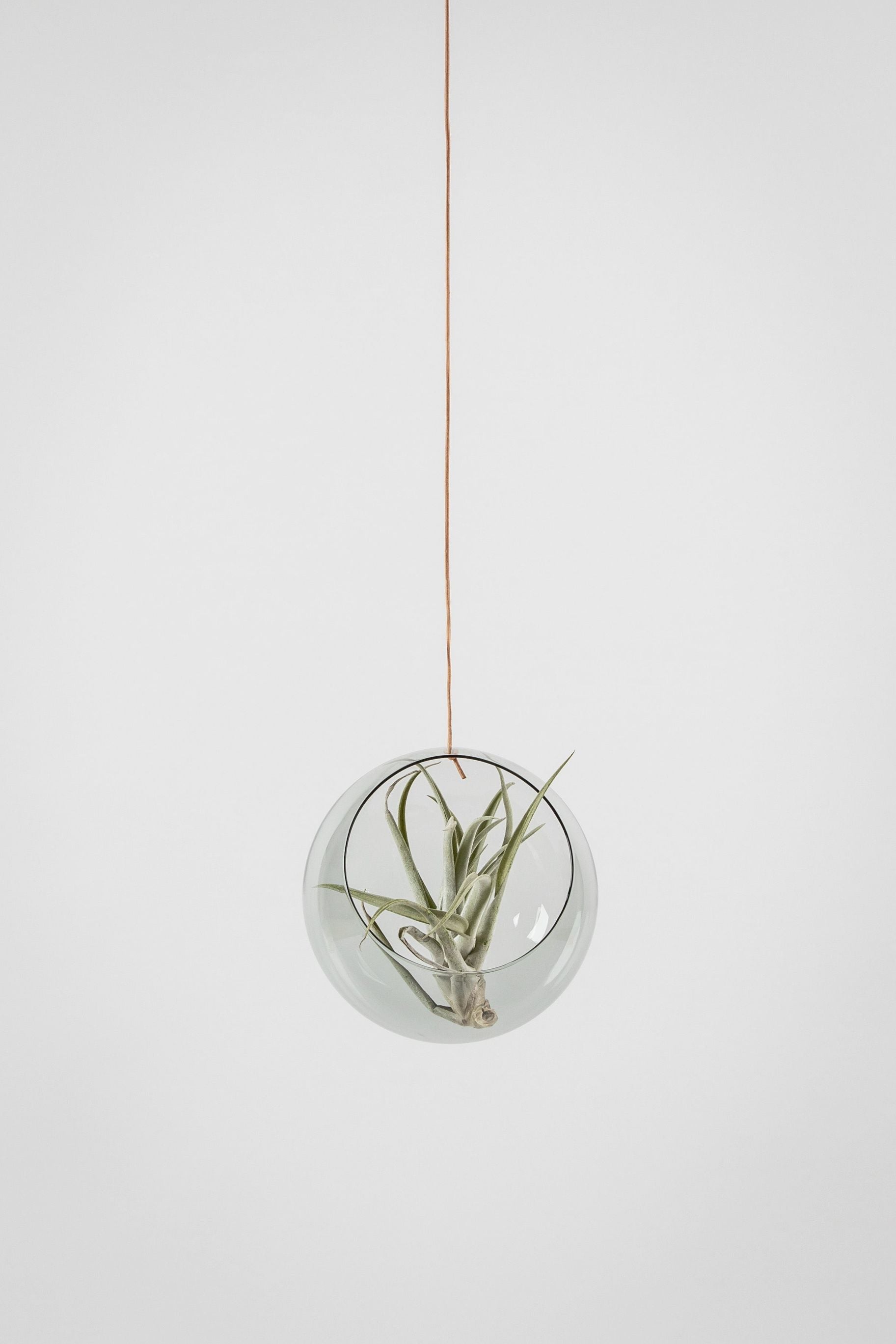 [product_category]-Studio About Hanging Plant Bubble Vase Large, Smoke-Studio About-5714356004012-135100S-STU-5