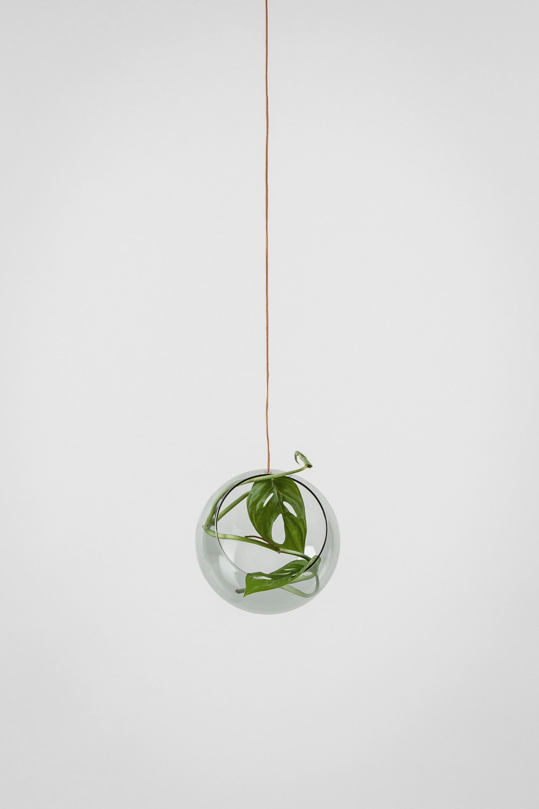 [product_category]-Studio About Hanging Plant Bubble Vase Medium, Smoke-Studio About-5714356003015-11080S-STU-5