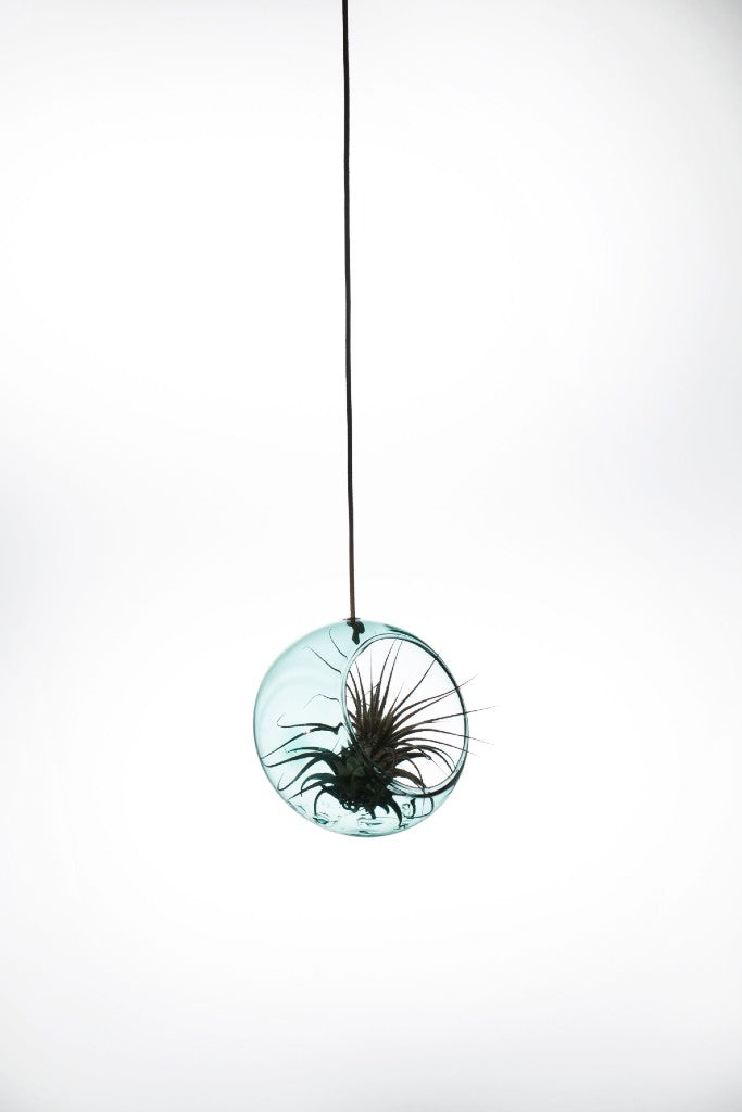 [product_category]-Studio About Hanging Plant Bubble Vase Small, Cyan-Studio About-5714356001011-8055C-STU-2