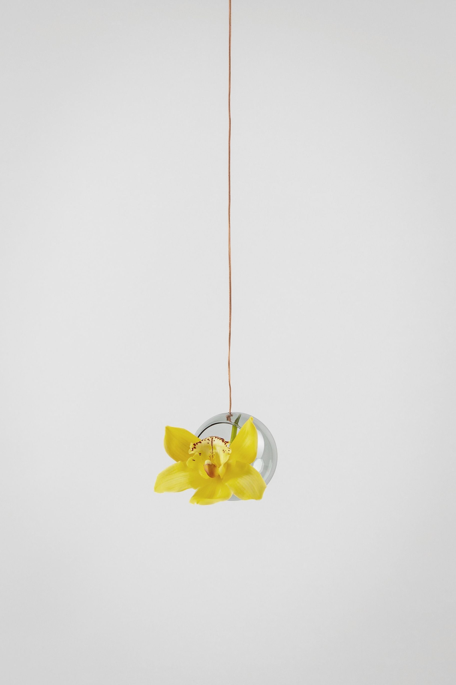 [product_category]-Studio About Hanging Plant Bubble Vase Small, Smoke-Studio About-5714356001028-8055S-STU-4