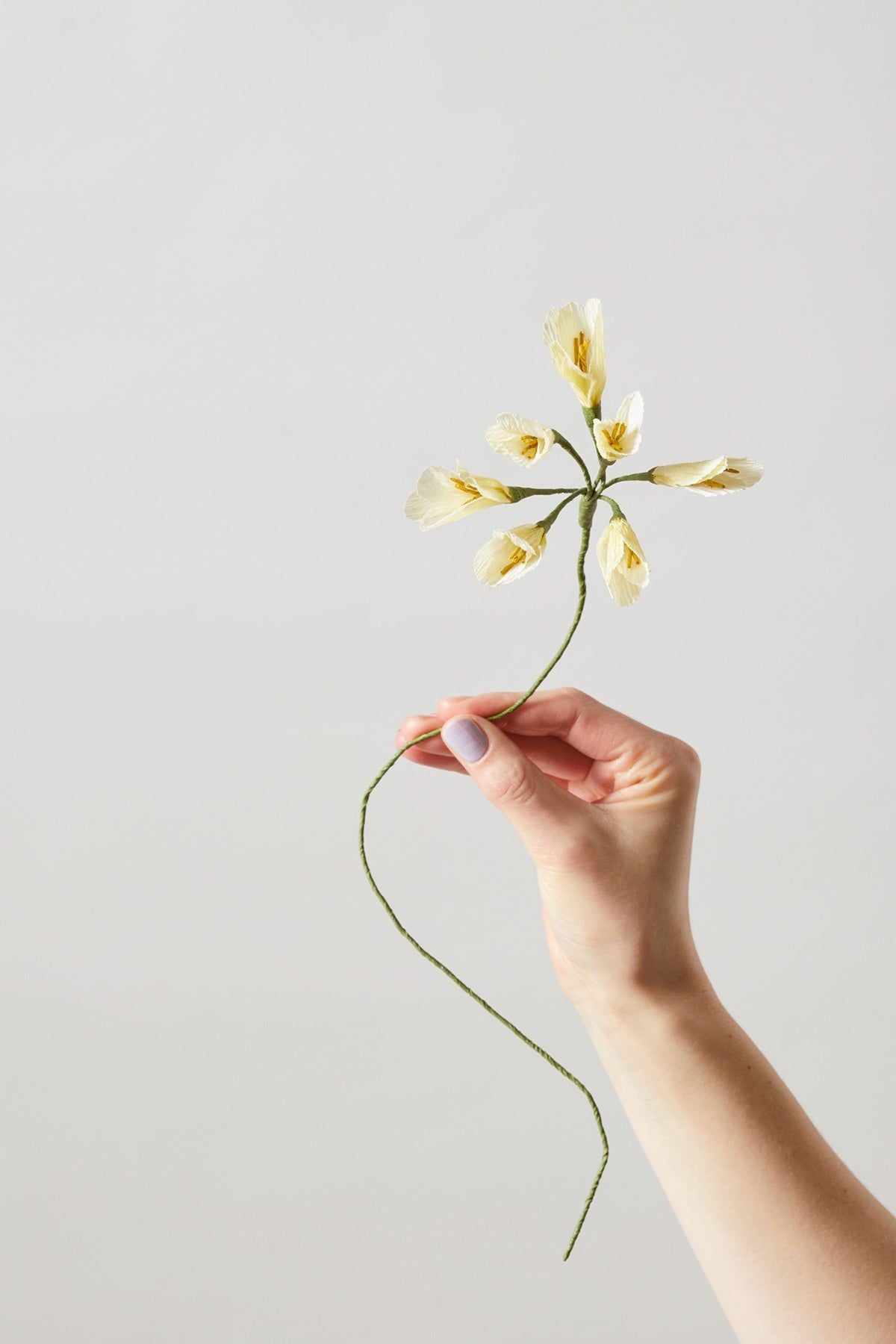[product_category]-Studio About Paper Flower African Lily, Yellow-Studio About-5714356014080-100430Y-STU-2