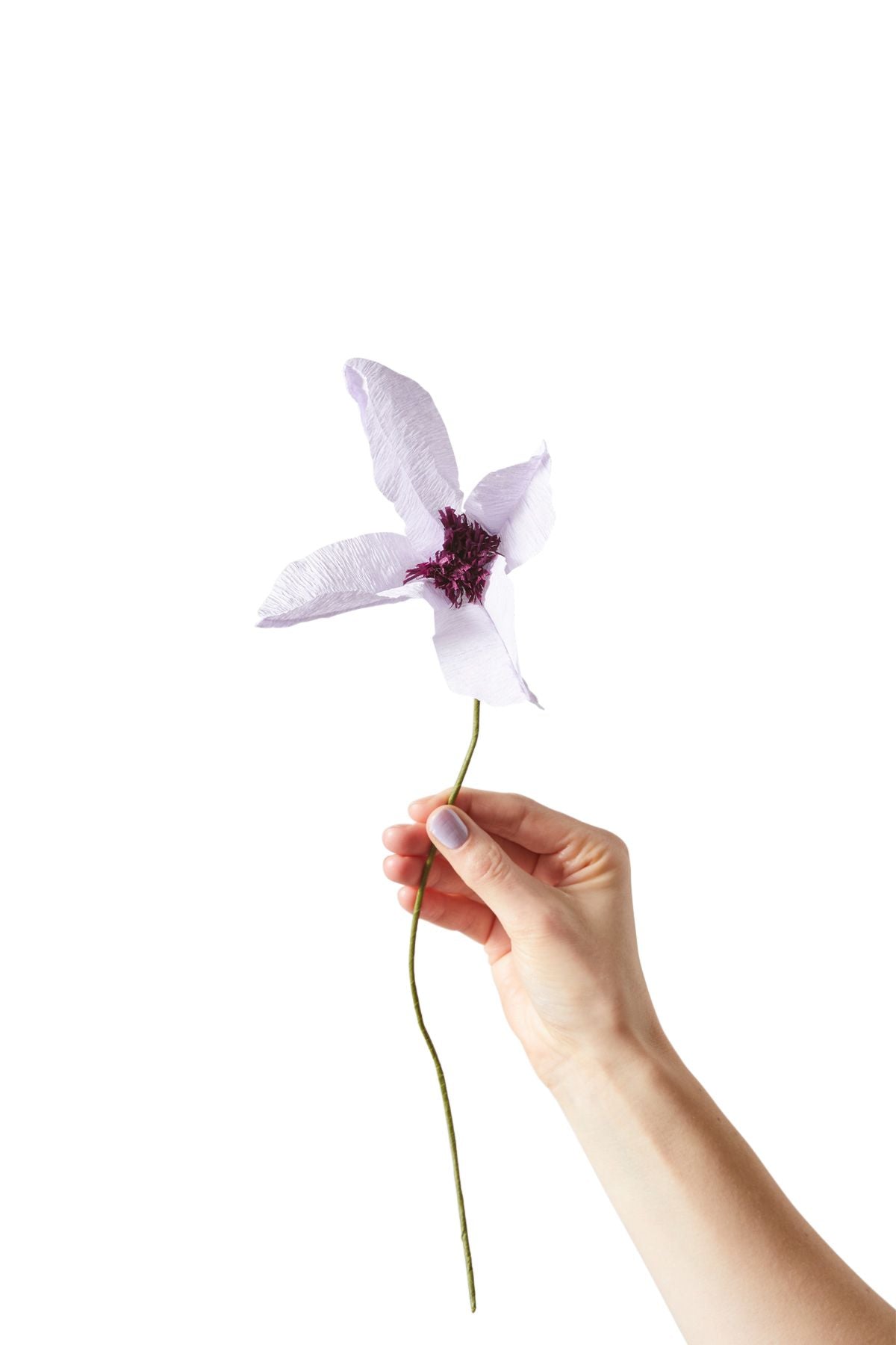 [product_category]-Studio About Paper Flower Clematis, Purple-Studio About-5714356014103-150440P-STU-1