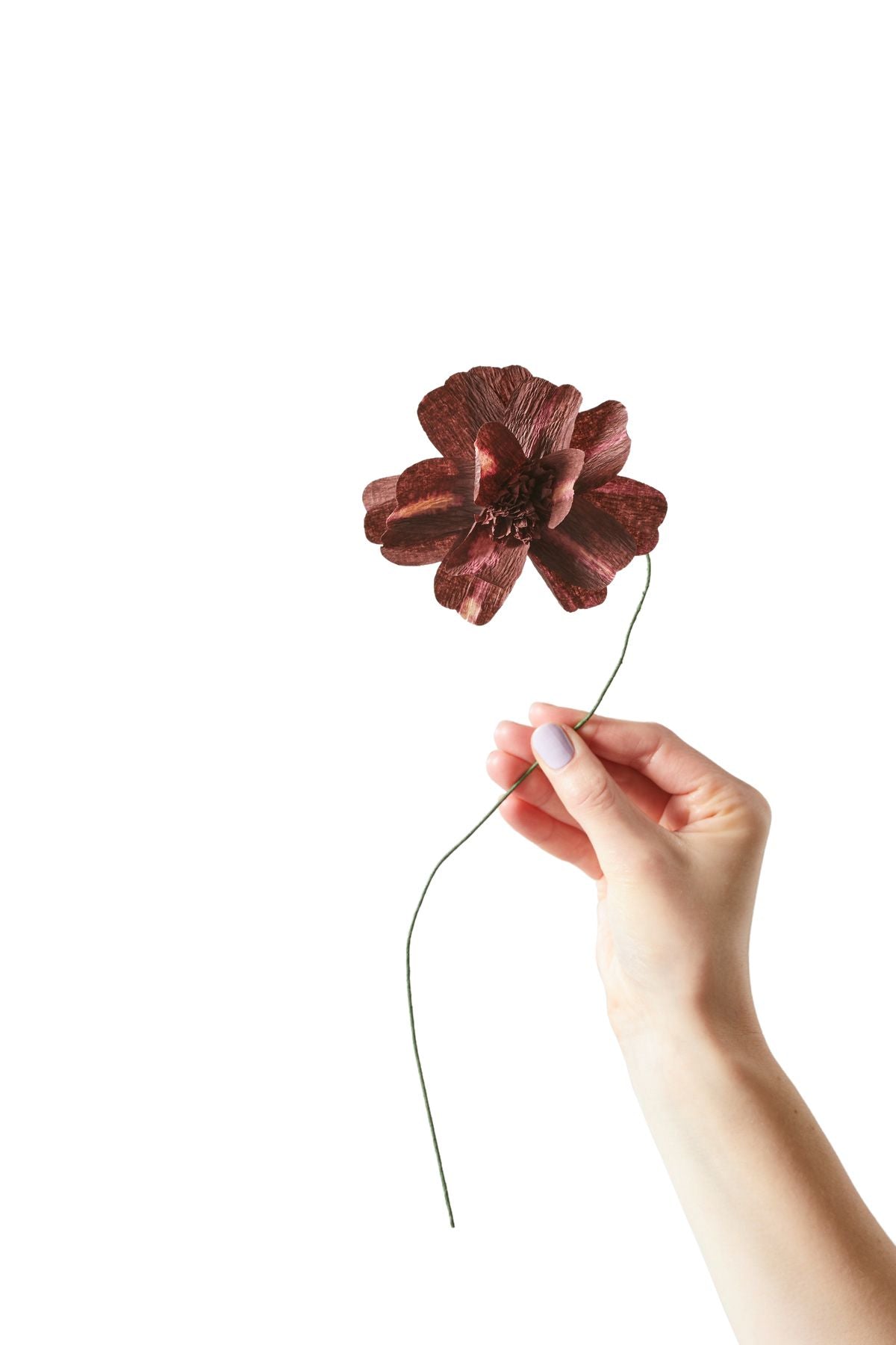 [product_category]-Studio About Paper Flower Daisy, Bordeaux-Studio About-5714356014011-100430B-STU-1