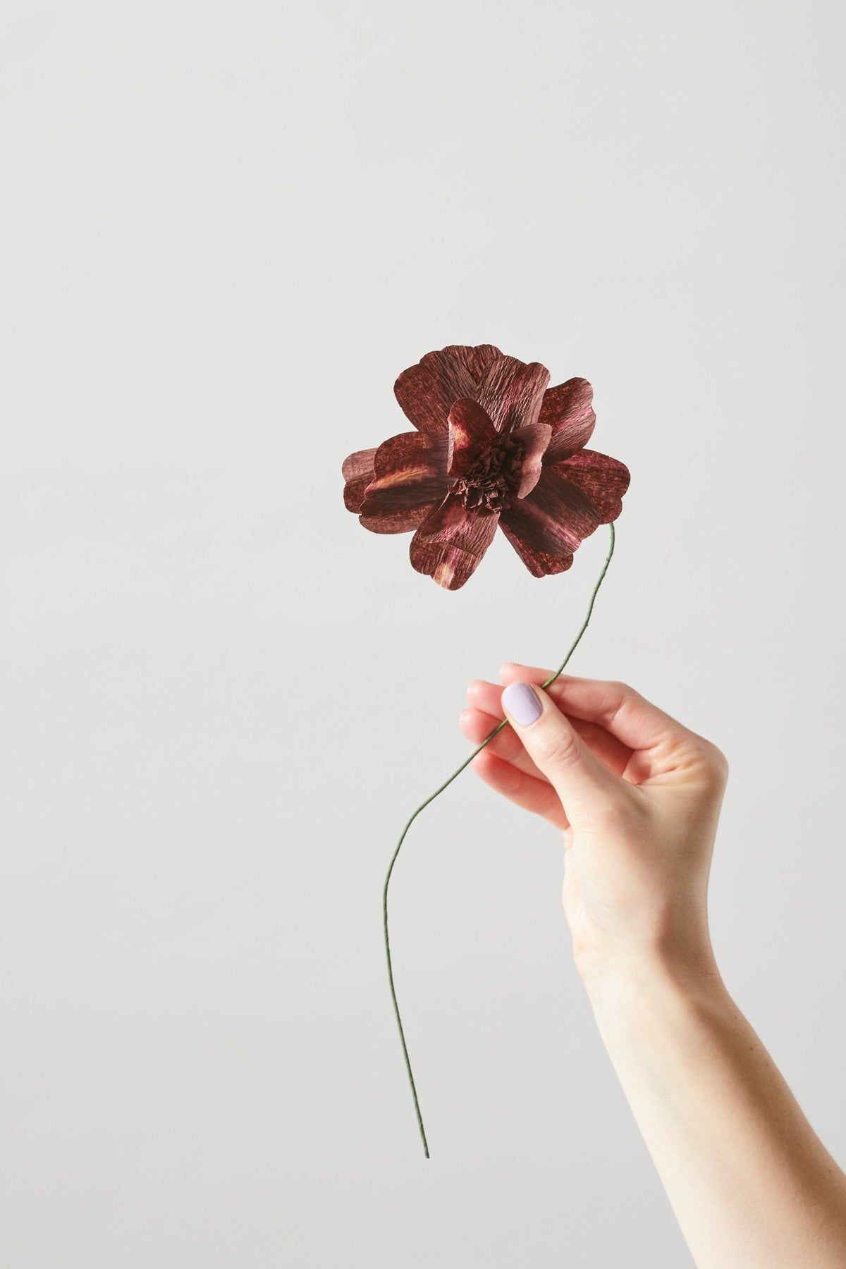 [product_category]-Studio About Paper Flower Daisy, Bordeaux-Studio About-5714356014011-100430B-STU-5