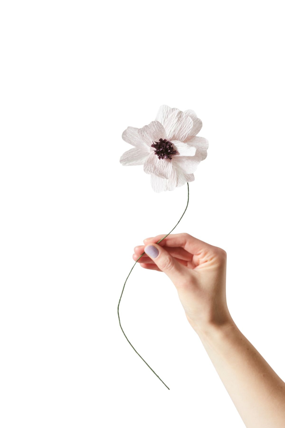 [product_category]-Studio About Paper Flower Daisy, Purple-Studio About-5714356014004-100430P-STU-1