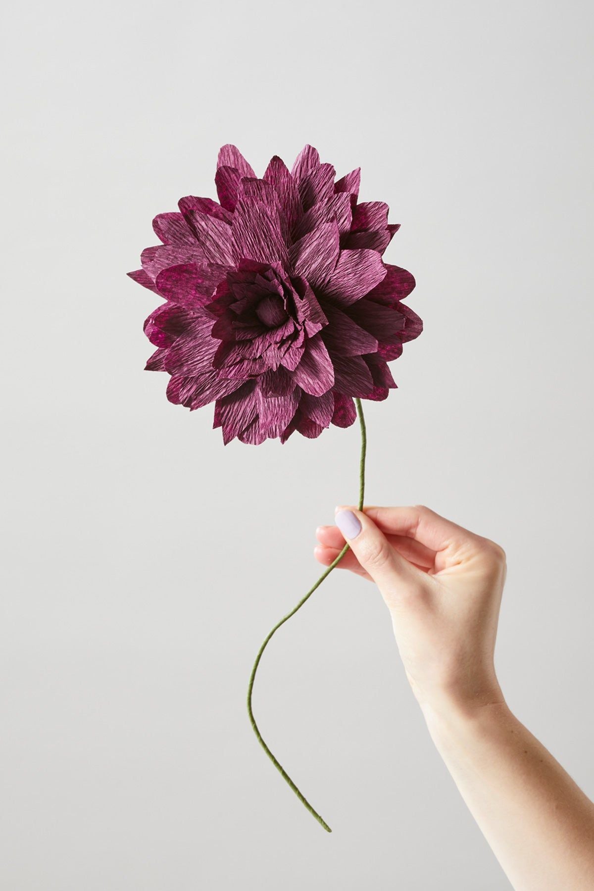 [product_category]-Studio About Paper Flower Grand Dahlia, Aubergine-Studio About-5714356014134-160460A-STU-5