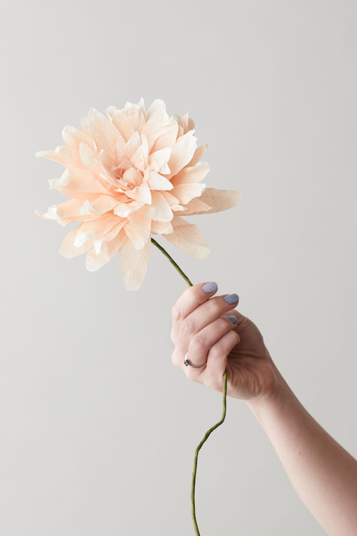 [product_category]-Studio About Paper Flower Grand Dahlia, Nude-Studio About-5714356014264-160460N-STU-2