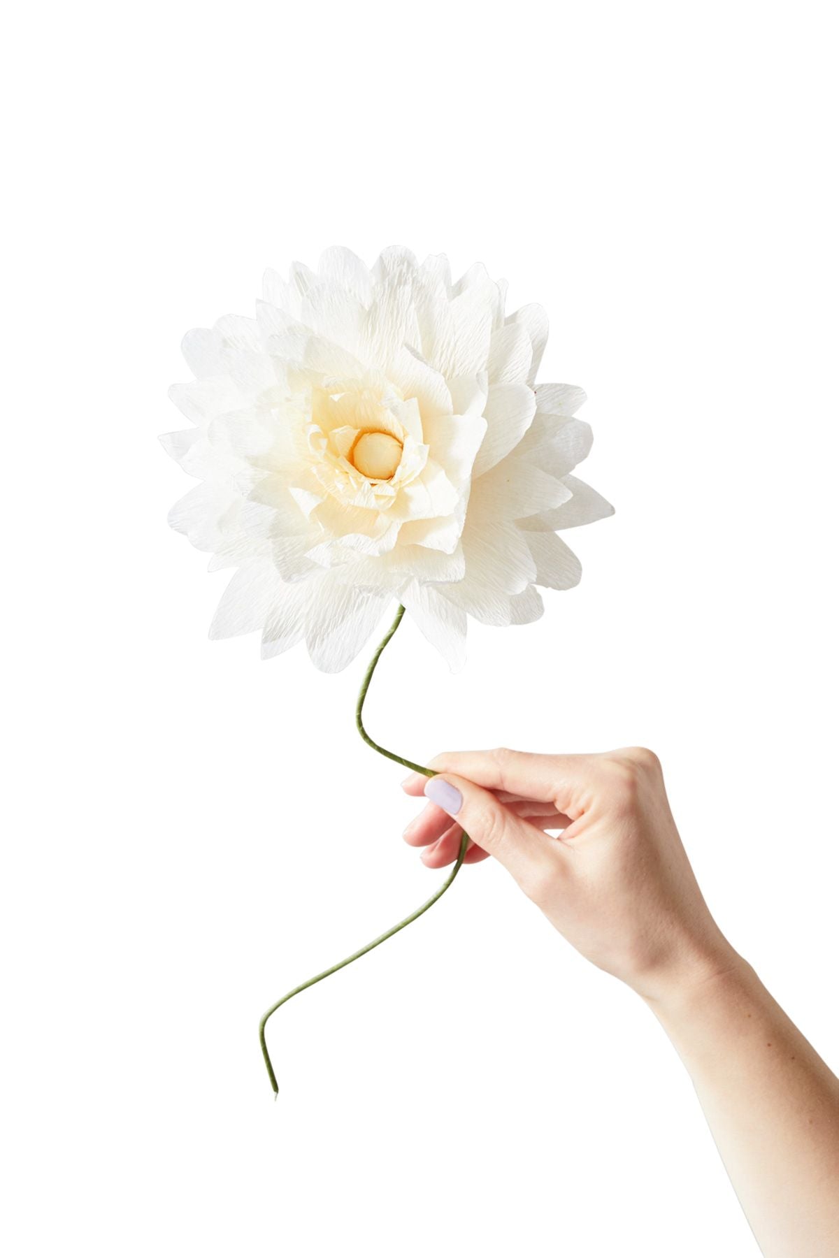 [product_category]-Studio About Paper Flower Grand Dahlia, Sand-Studio About-5714356014127-160460S-STU-1