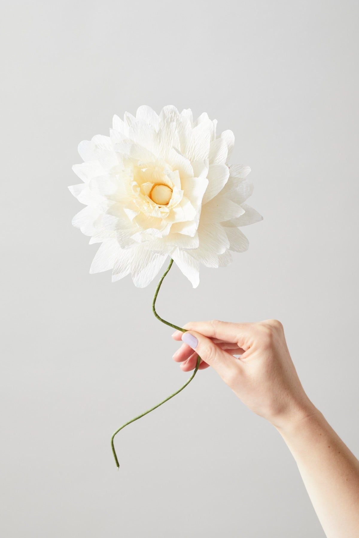 [product_category]-Studio About Paper Flower Grand Dahlia, Sand-Studio About-5714356014127-160460S-STU-6