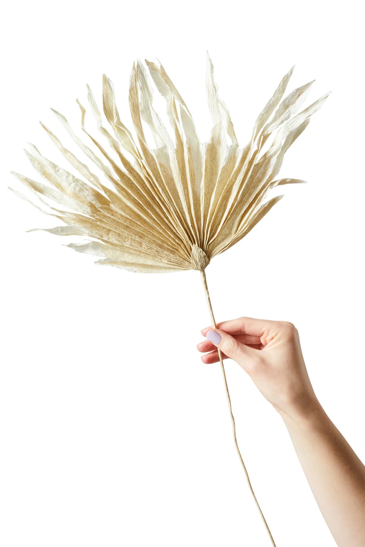 [product_category]-Studio About Paper Flower Palm, Sand-Studio About-5714356014189-350550S-STU-1