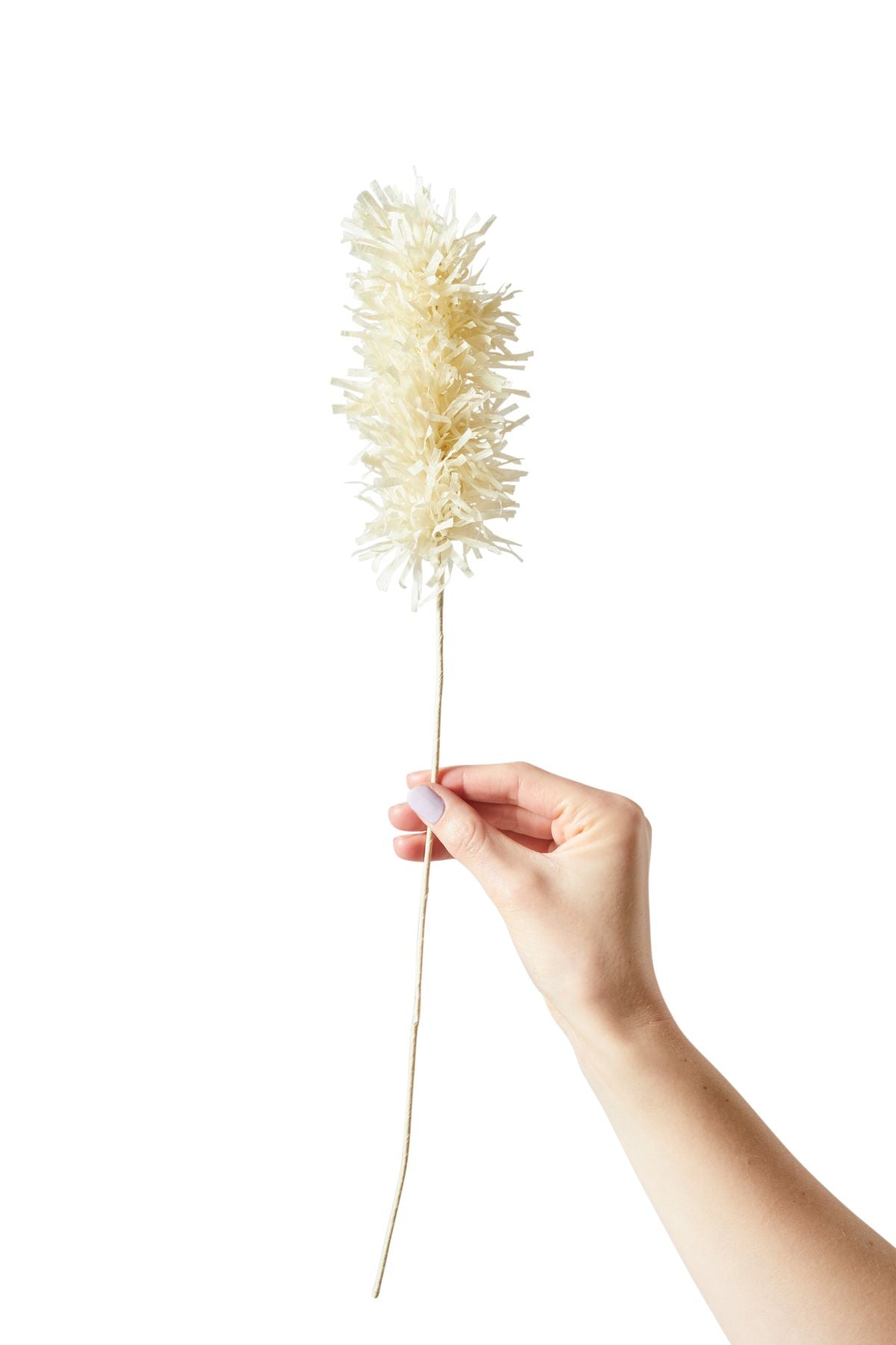 [product_category]-Studio About Paper Flower Pampas, Sand-Studio About-5714356014219-40480S-STU-1