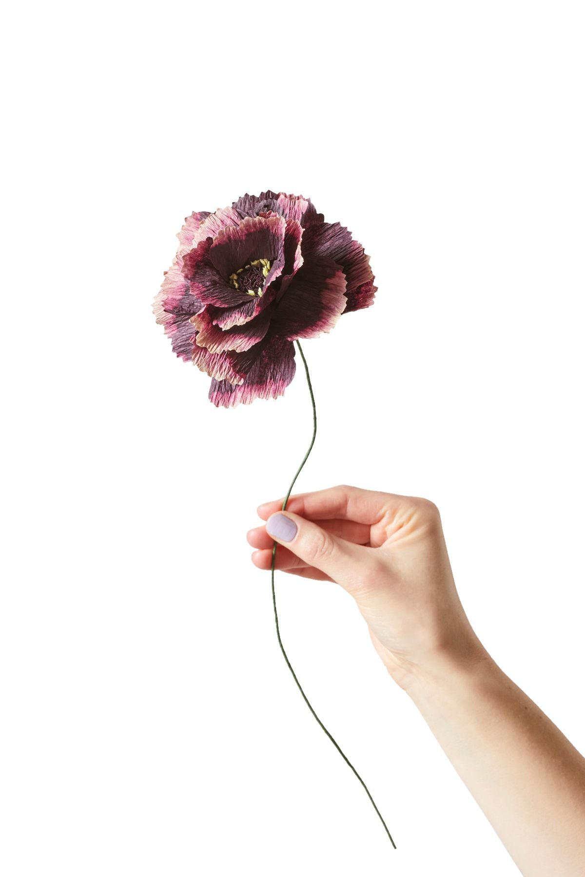 [product_category]-Studio About Paper Flower Peony, Aubergine-Studio About-5714356014042-120420A-STU-1