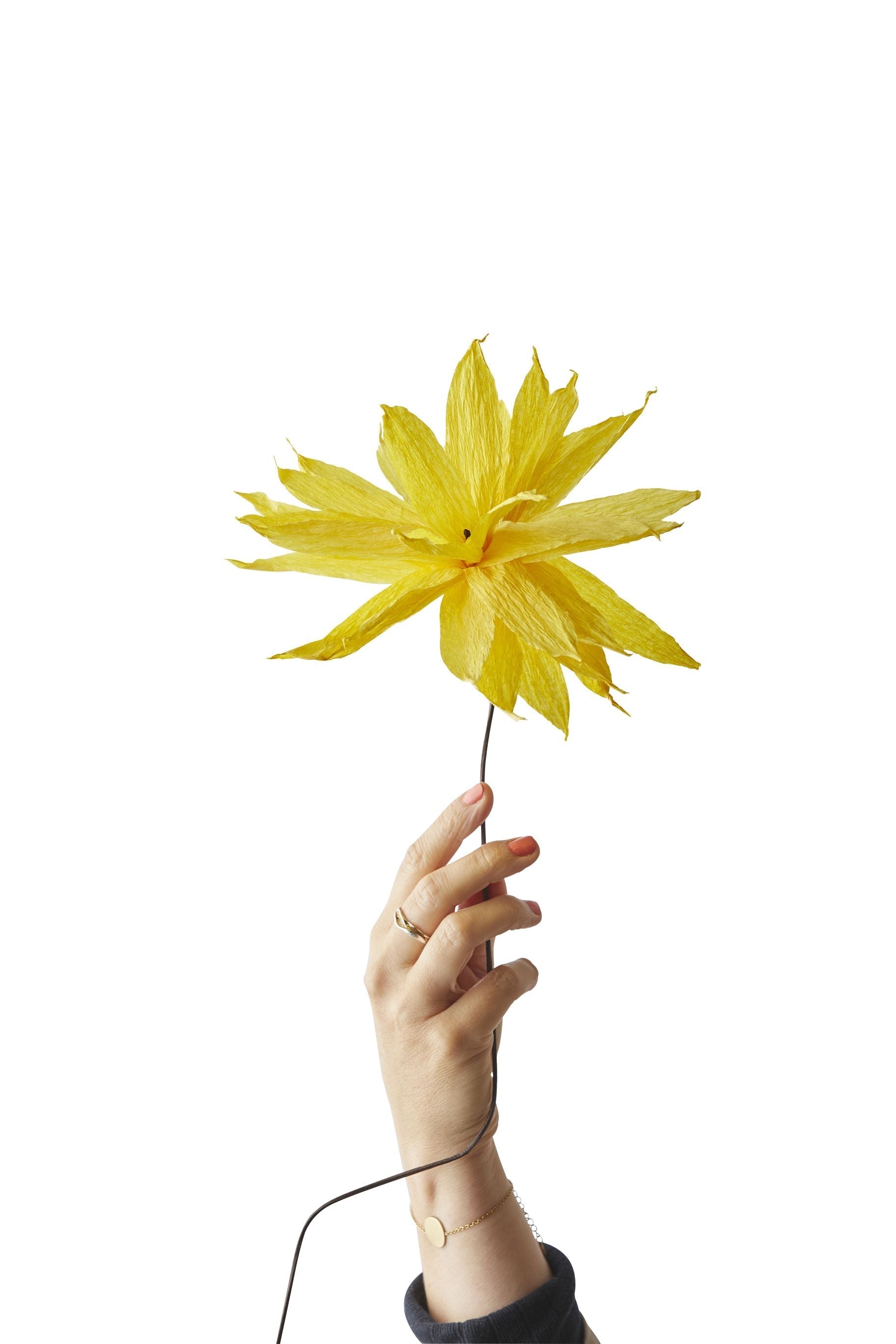 [product_category]-Studio About Paper Flower Shooting Star, Yellow-Studio About-5714356014356-200460Y-STU-1