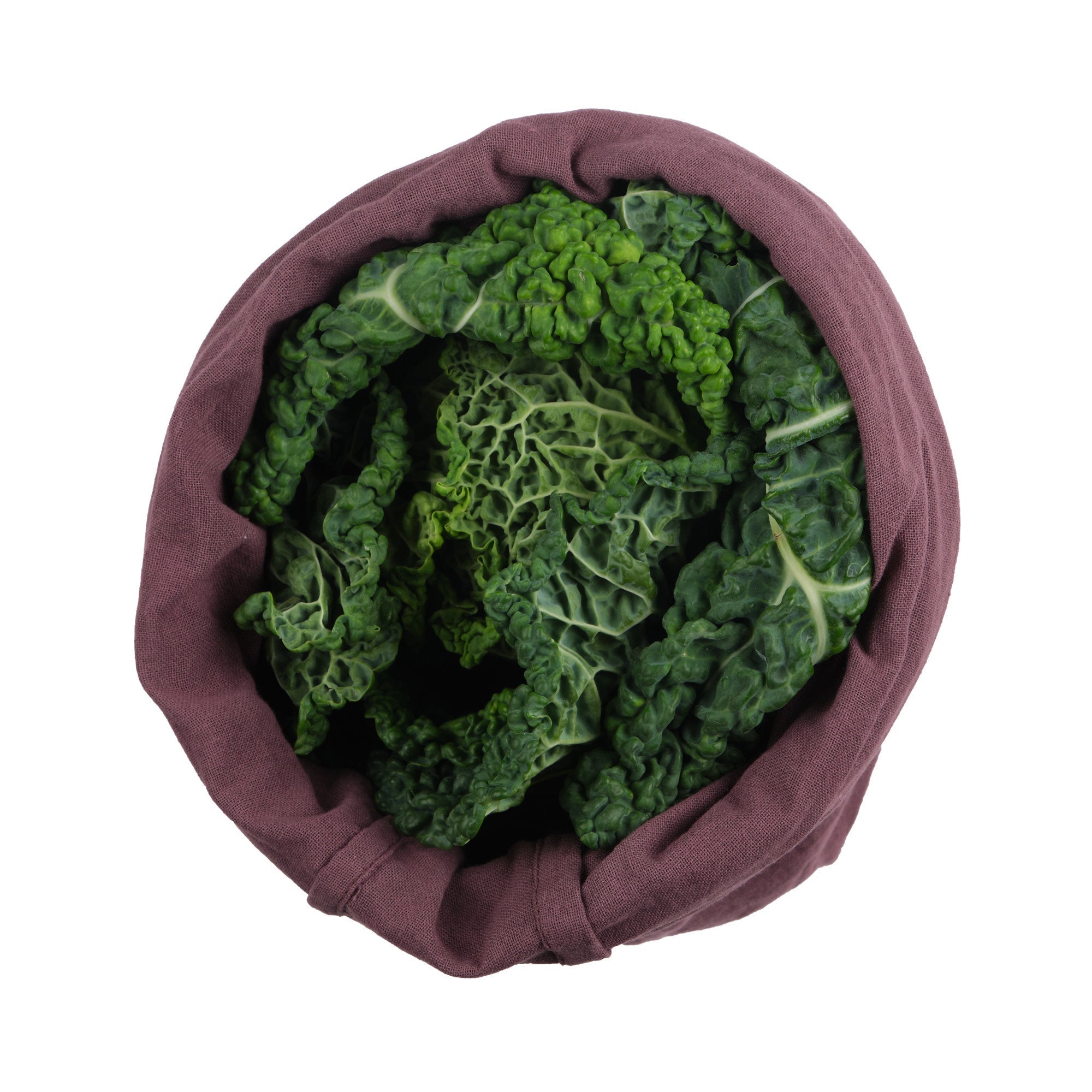 [product_category]-The Organic Company Food Bag Large, Maroon-The Organic Company-5711261018837-1051-390-THE-2