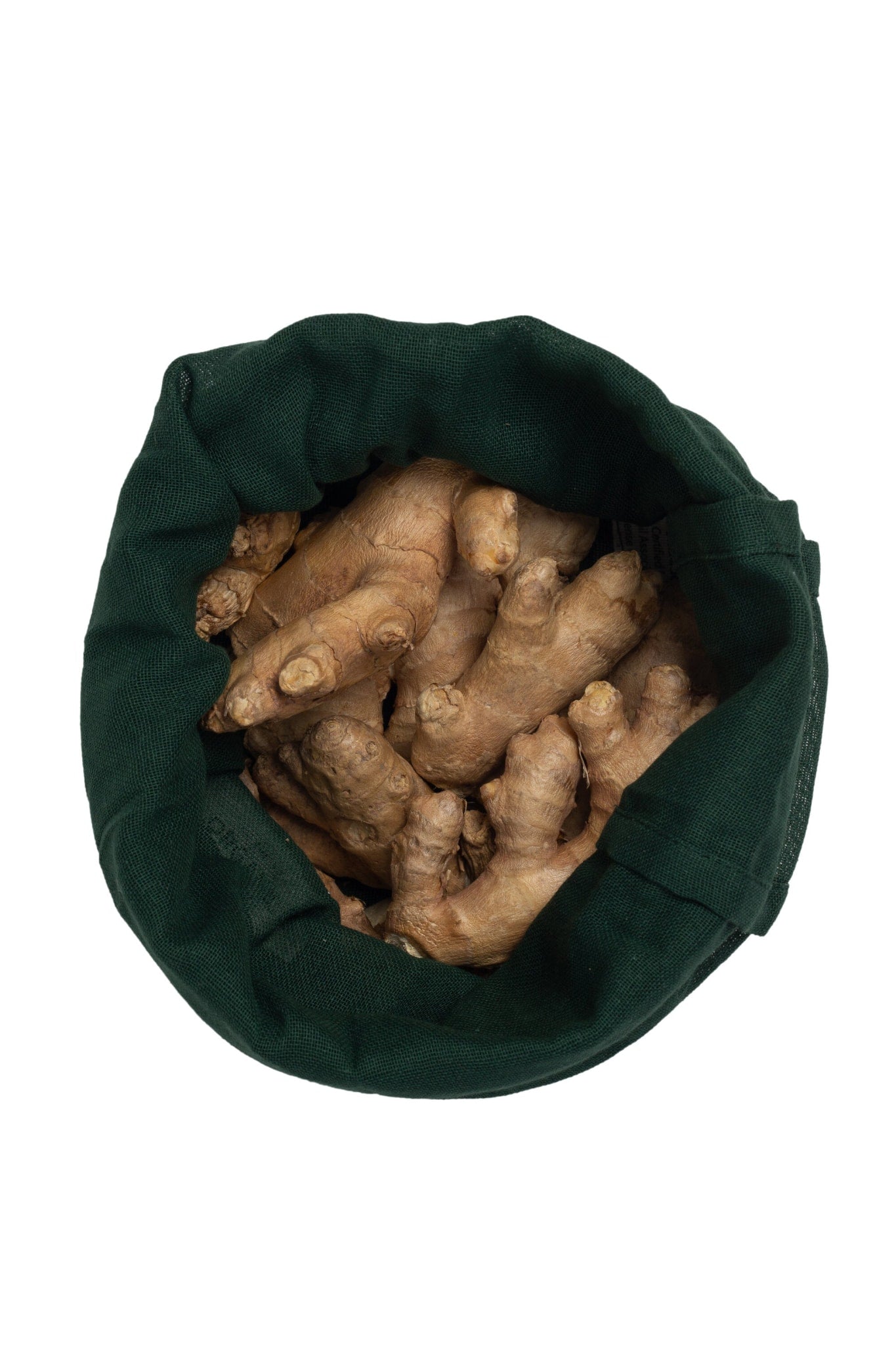 [product_category]-The Organic Company Food Bag Medium, Dark Green-The Organic Company-5711261002522-1050-400-THE-2