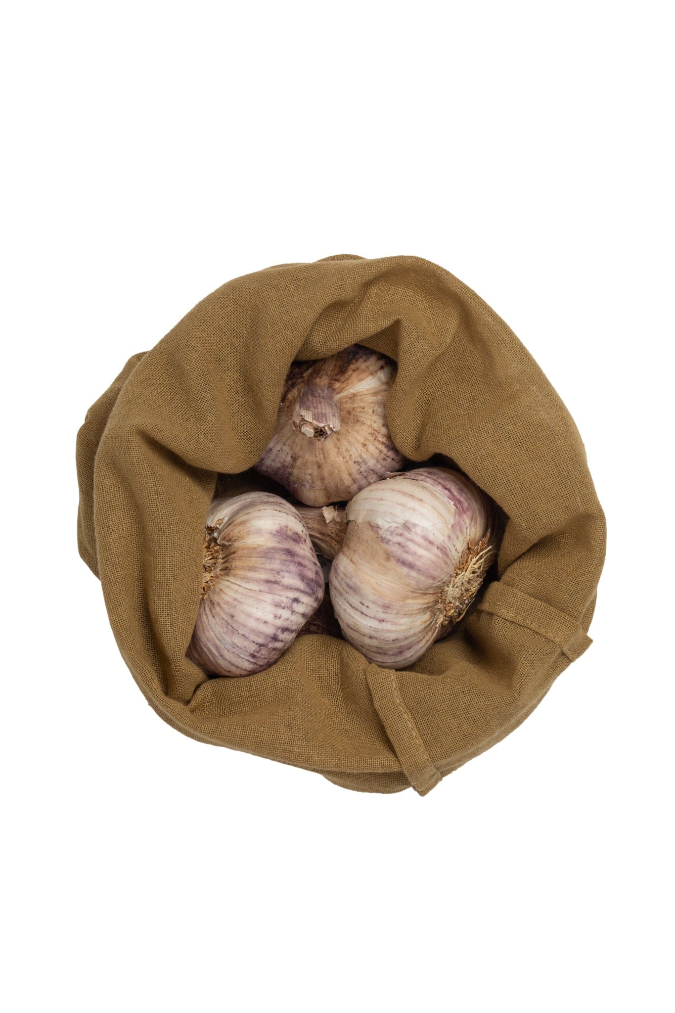 [product_category]-The Organic Company Food Bag Medium, Khaki-The Organic Company-5711261016642-1050-215-THE-2
