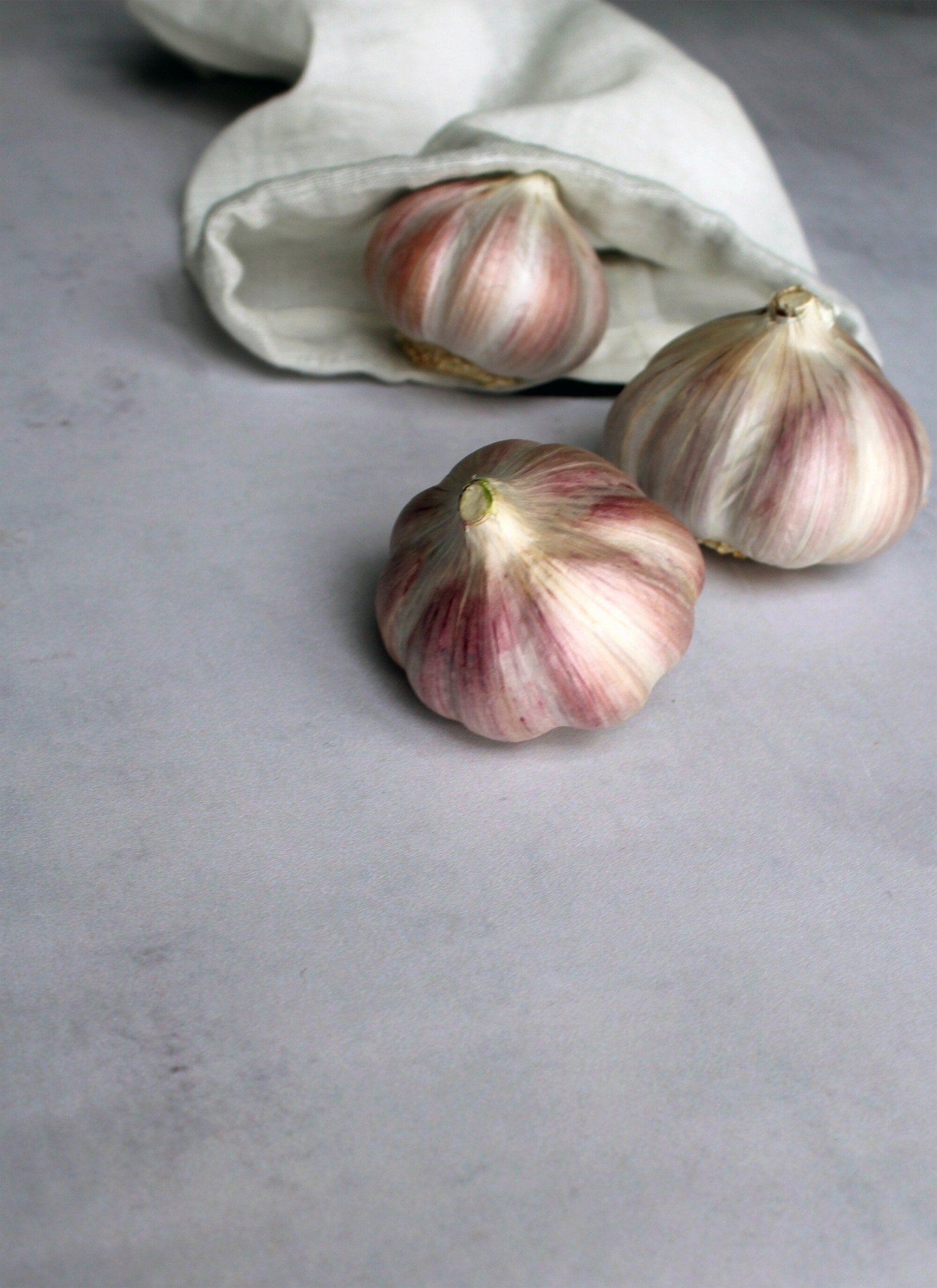 [product_category]-The Organic Company Food Bag Small, Natural White-The Organic Company-5711261002492-1049-200-THE-3