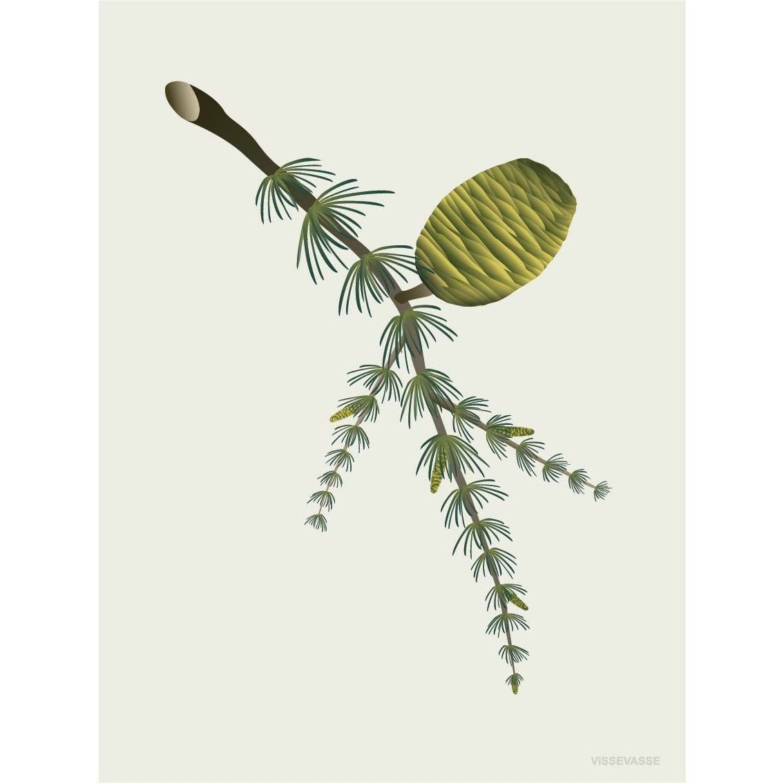 Vissevasse Cedar Cone Poster, 50 X70 Cm