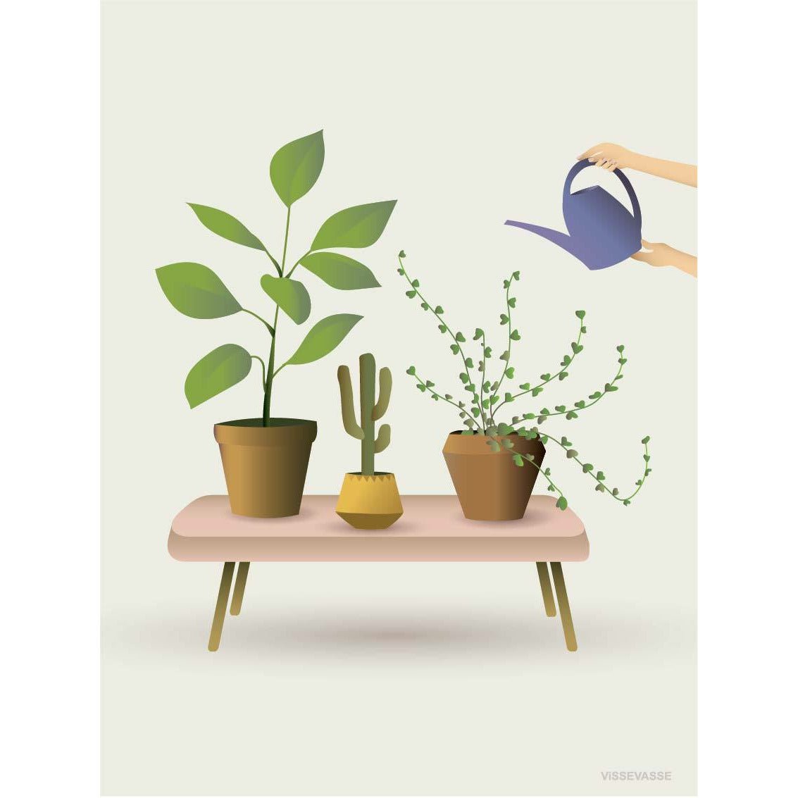 Affiche des plantes en croissance de Vissevasse, 30 x40 cm