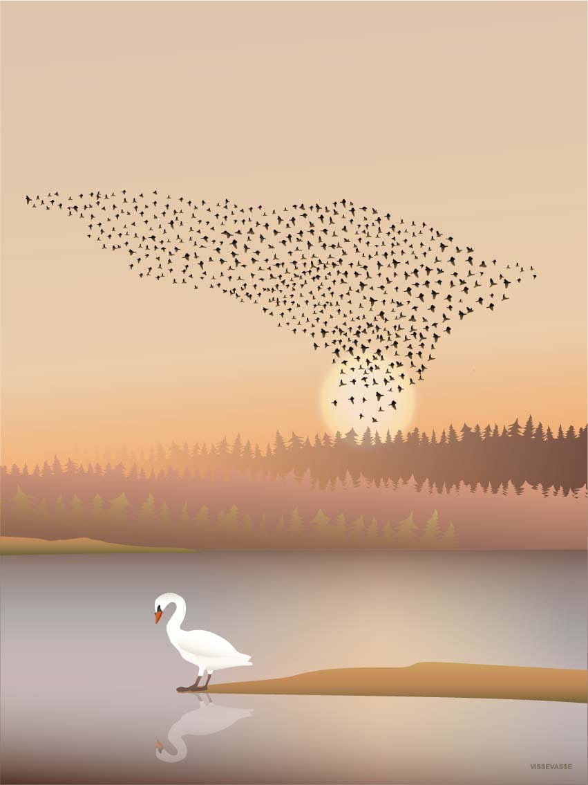 [product_category]-Vissevasse Murmuration Poster, 50x70 Cm-Vissevasse-5713138202738-F-2022-027-L-VIS-1