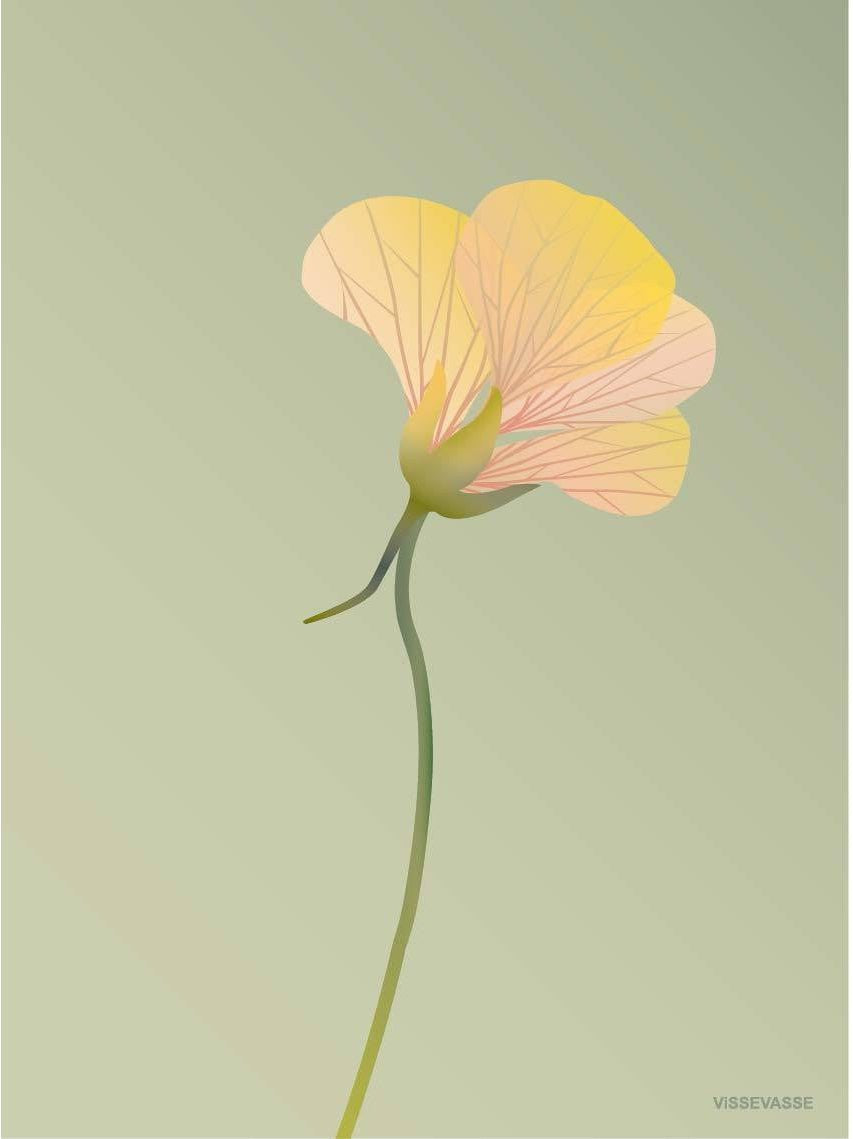 Affiche Vissevasse Nasturtium 15 x21 cm, vert