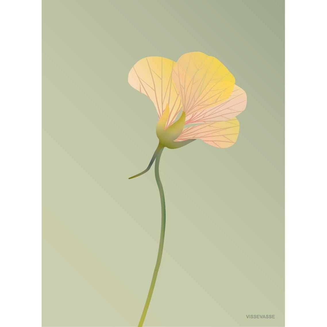 Vissevasse nasturtium poster 30 x40 cm, groen