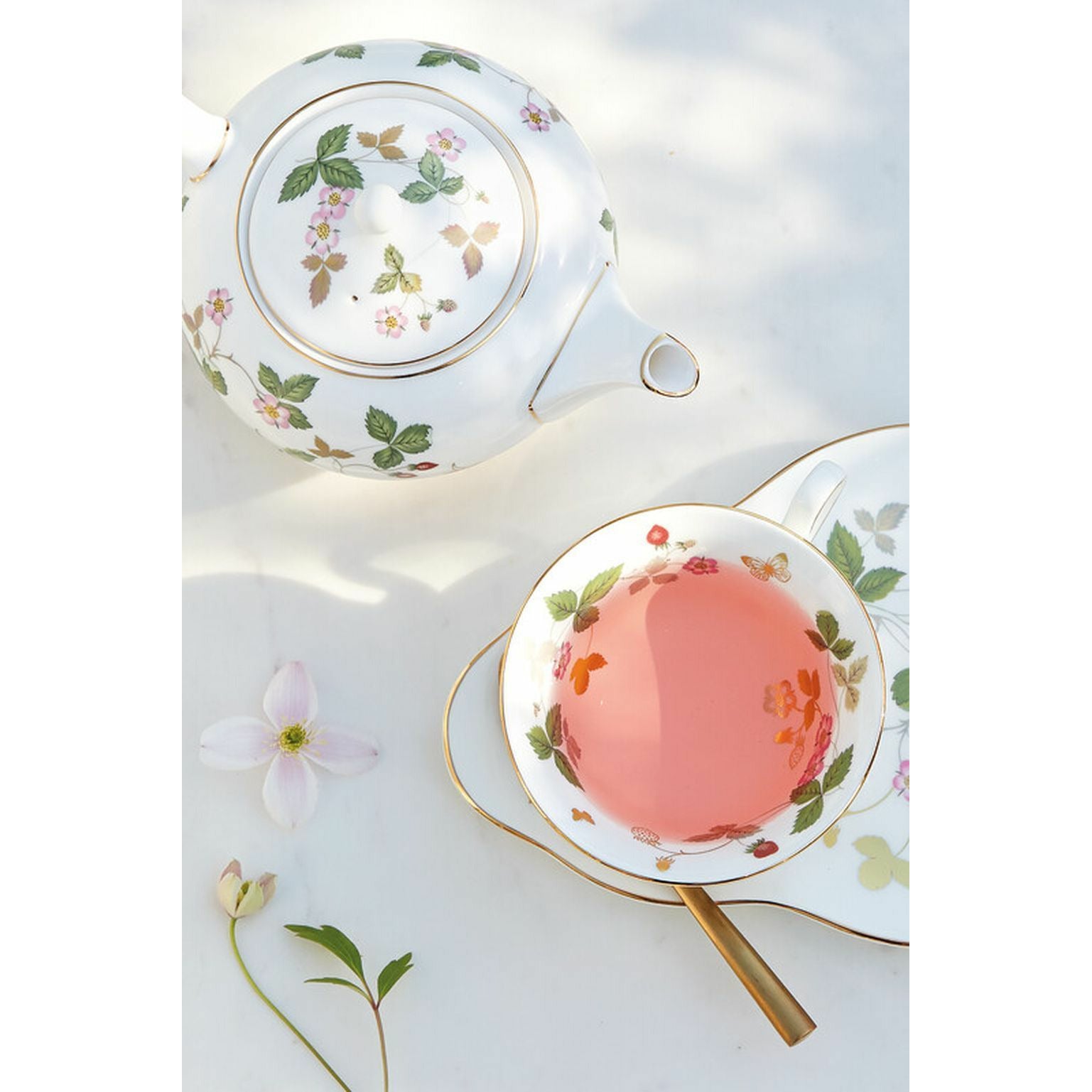 [product_category]-Wedgwood Wild Strawberry Teapot, 0,8 L-Wedgwood-32675036237-50105506091-WED-2
