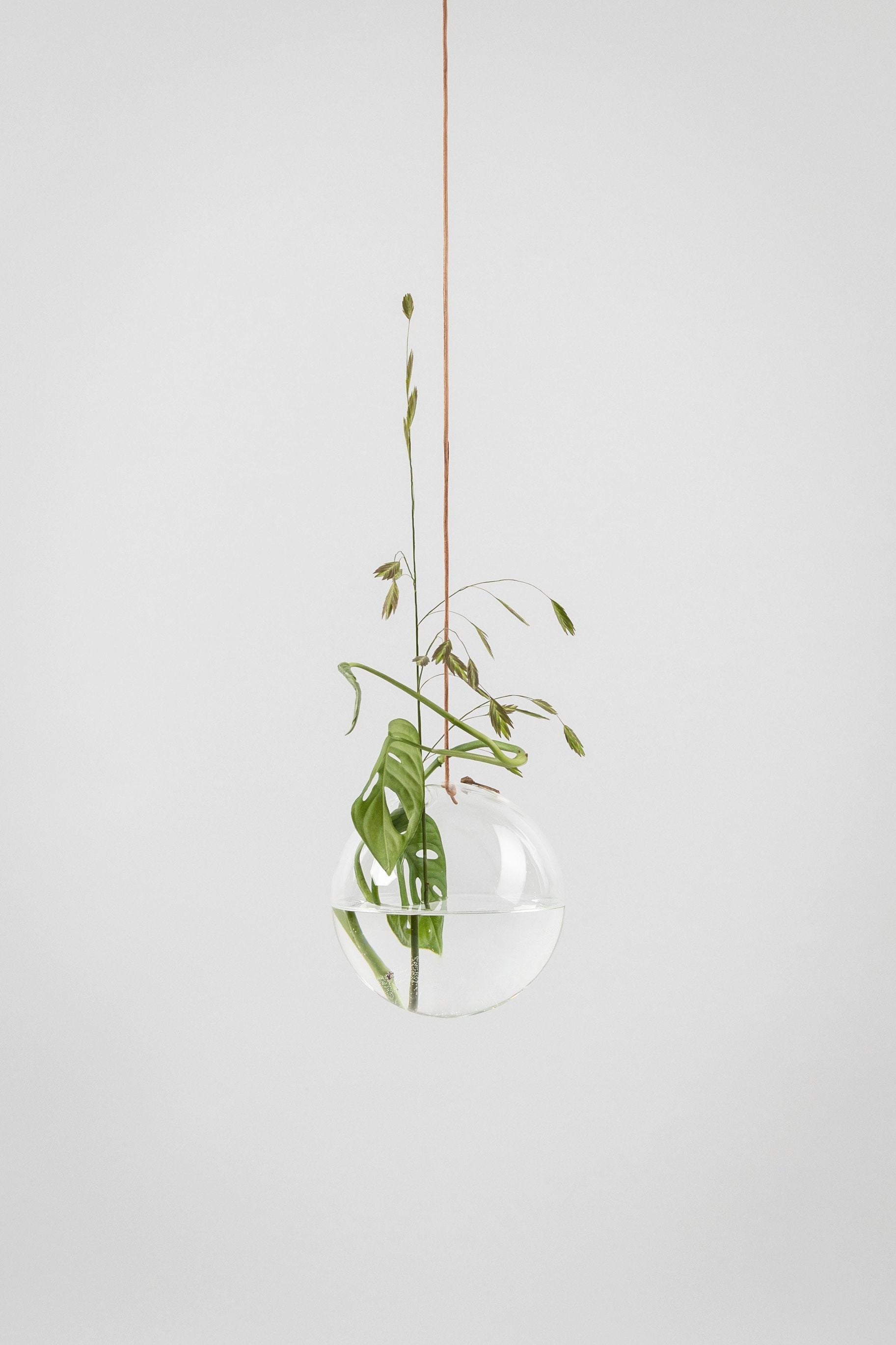 Studio About Hanging Flower Bubble Vase Medium, Transparent