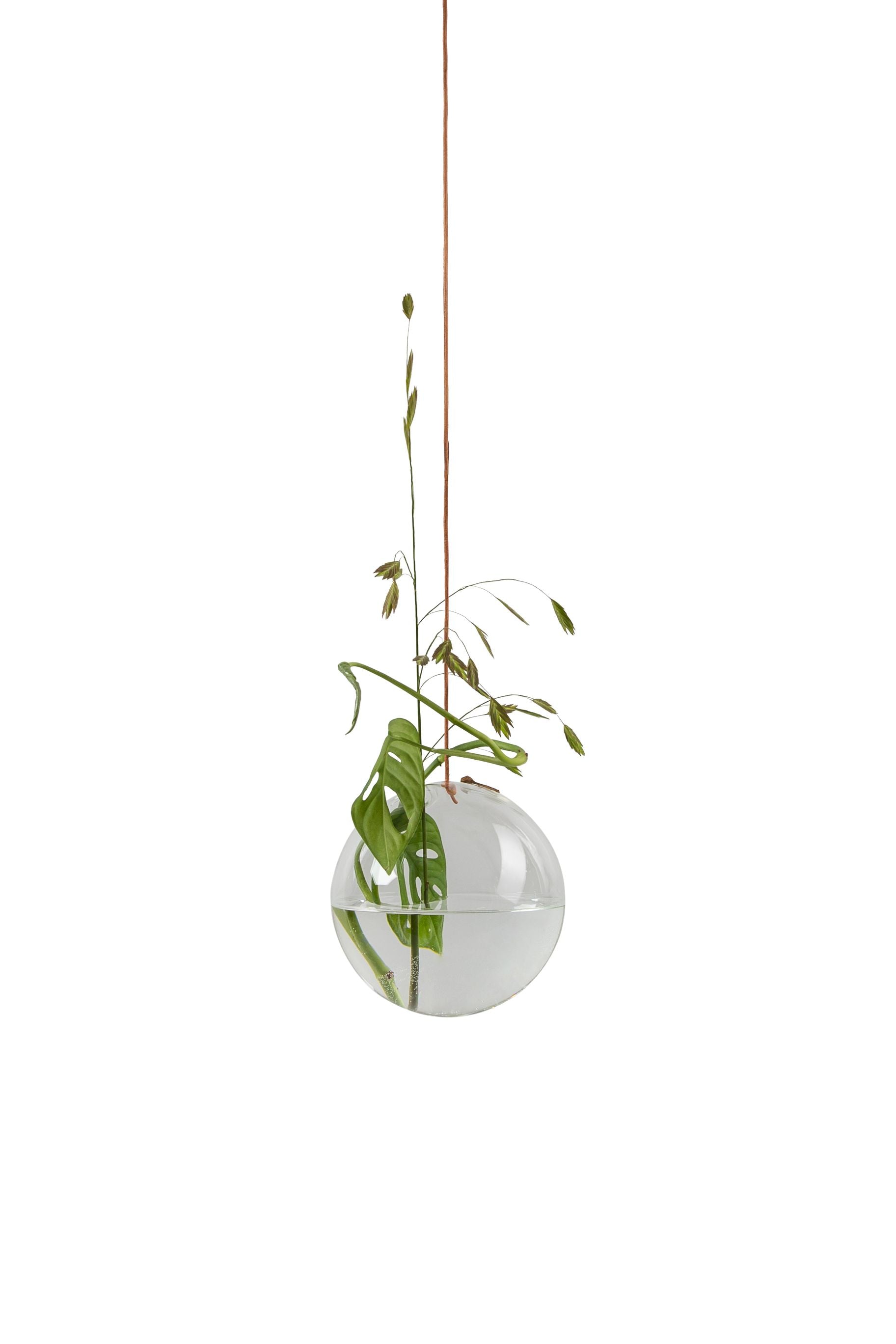 Studio om hængende blomsterboble vase -medium, gennemsigtig
