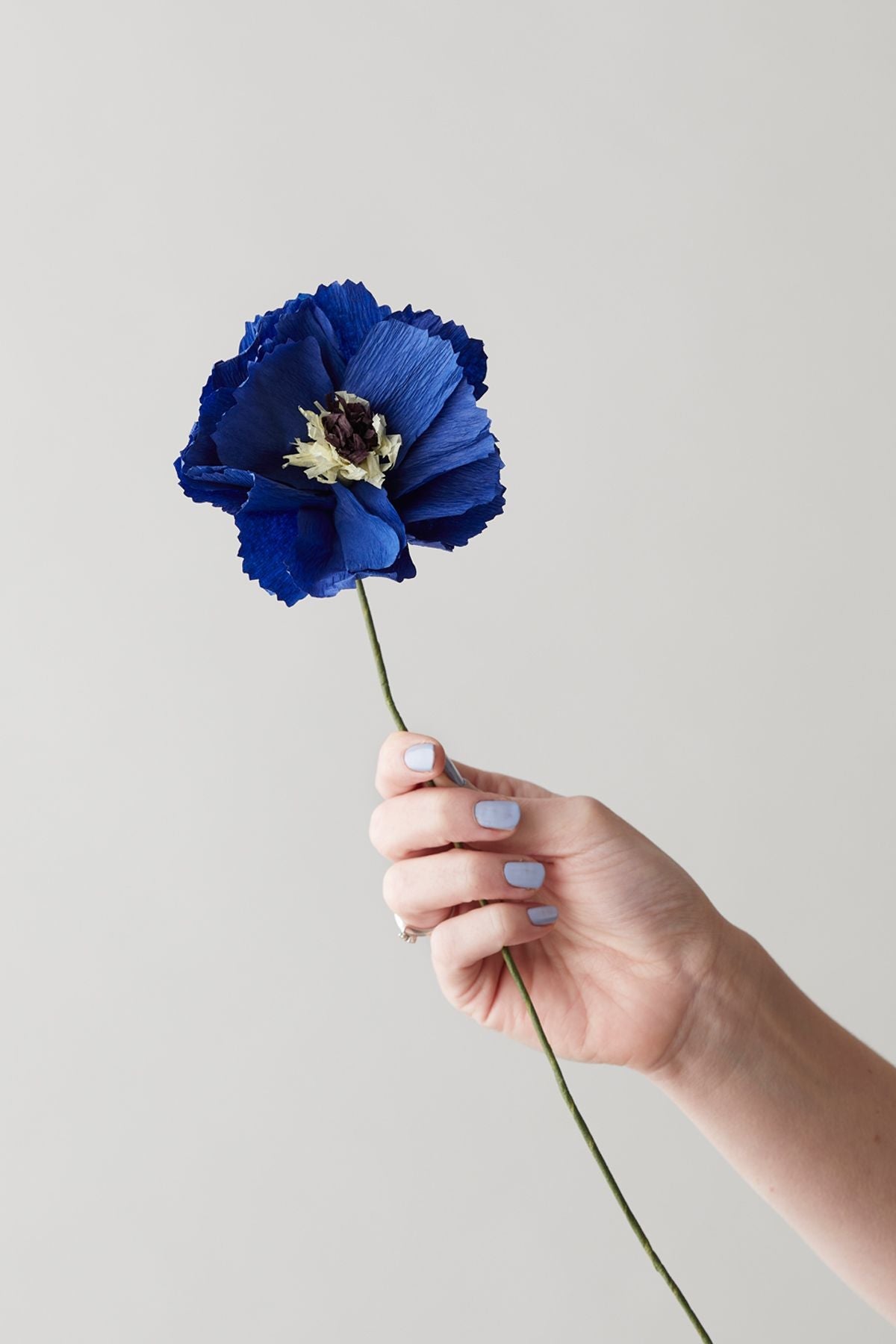 Estudio sobre Paper Flower Peony, Azul