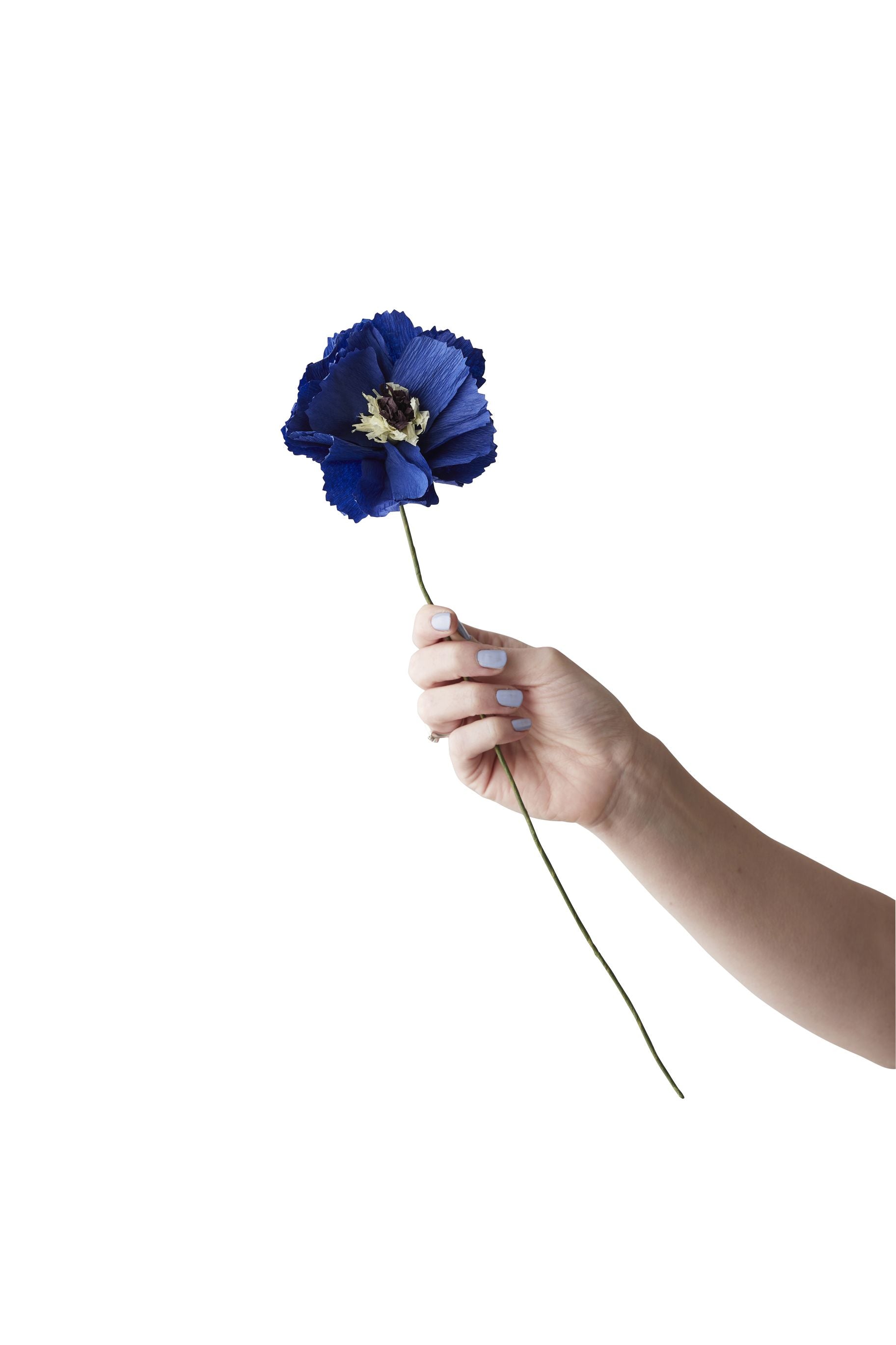 Estudio sobre Paper Flower Peony, Azul