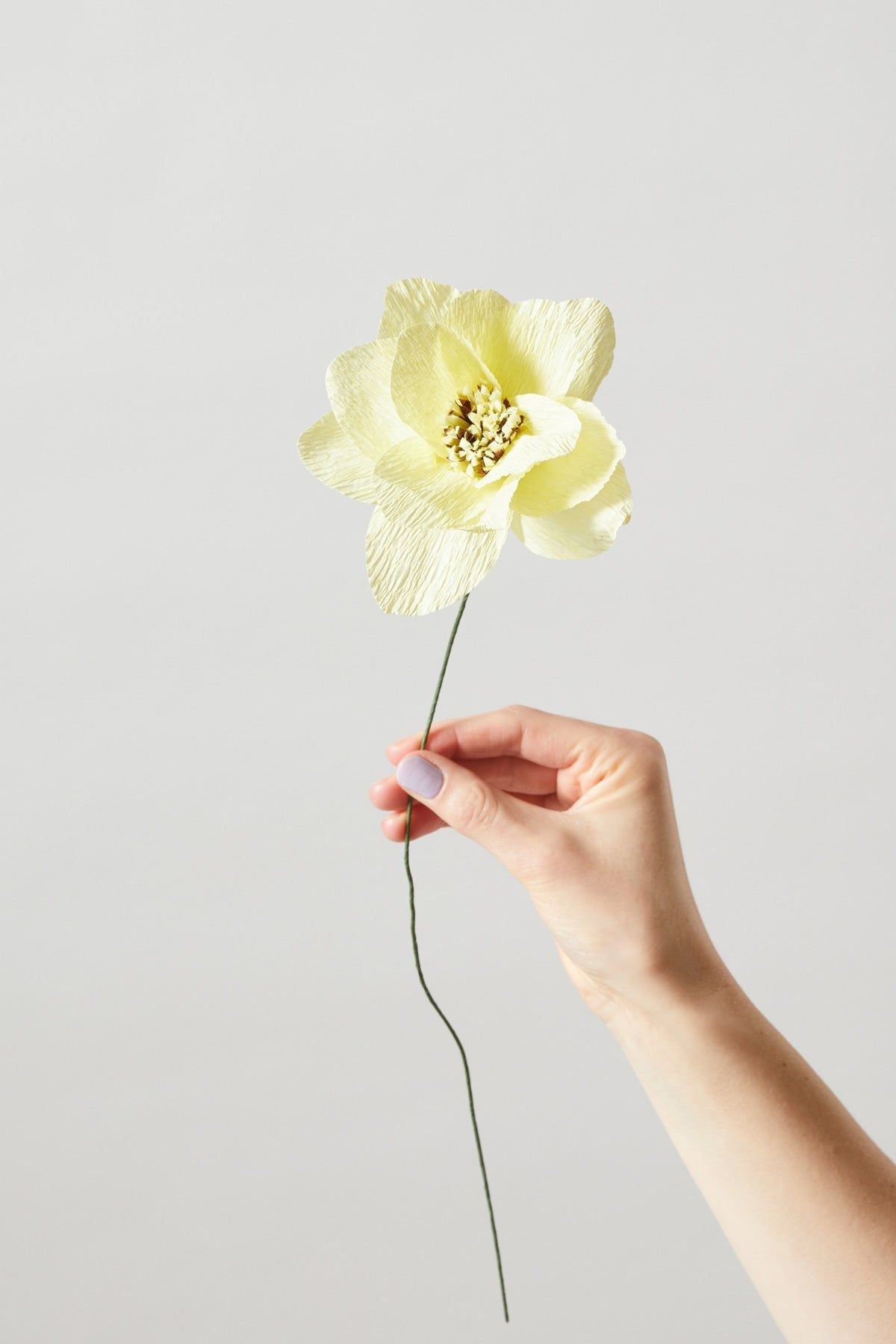 Estudio sobre Flower de Paper Dahlia, Amarillo
