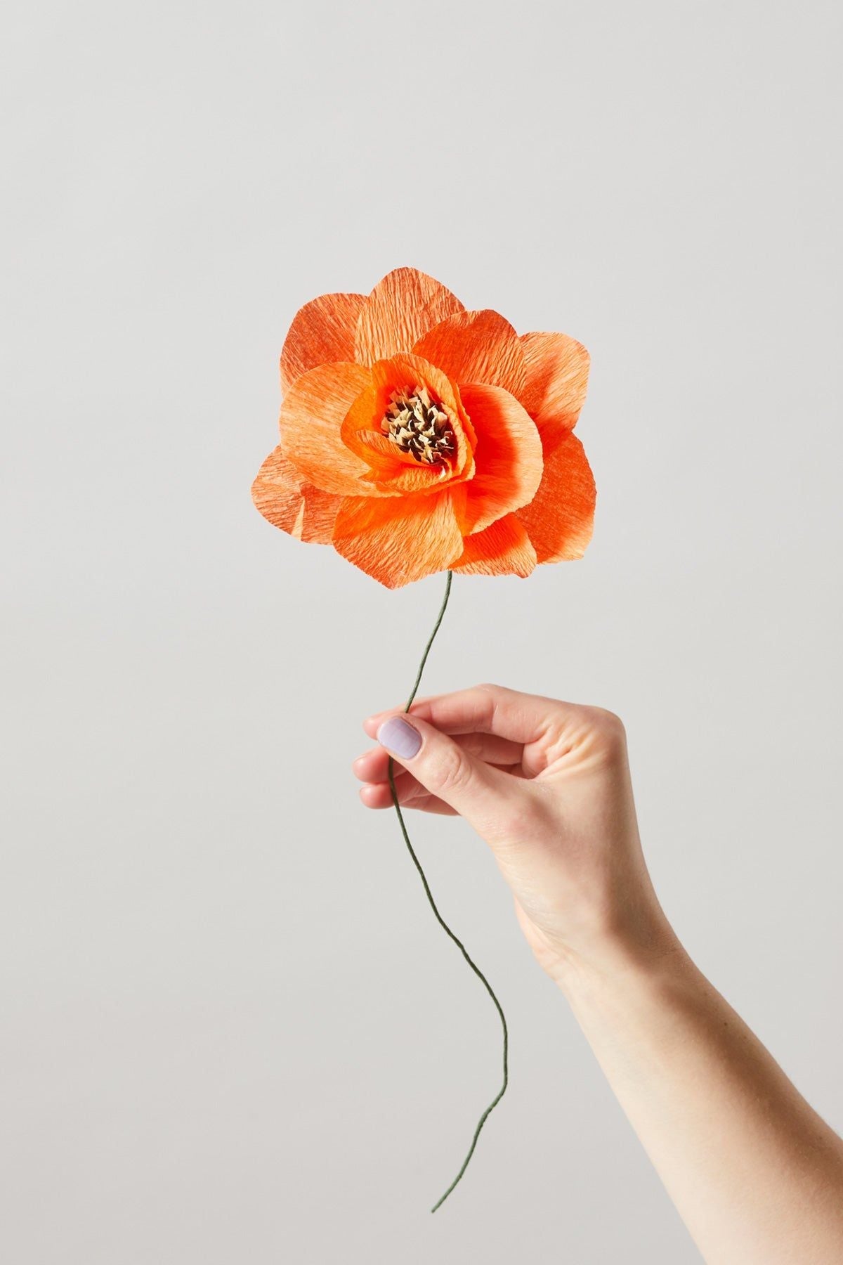 Studio About Paper Flower Poppy, Red