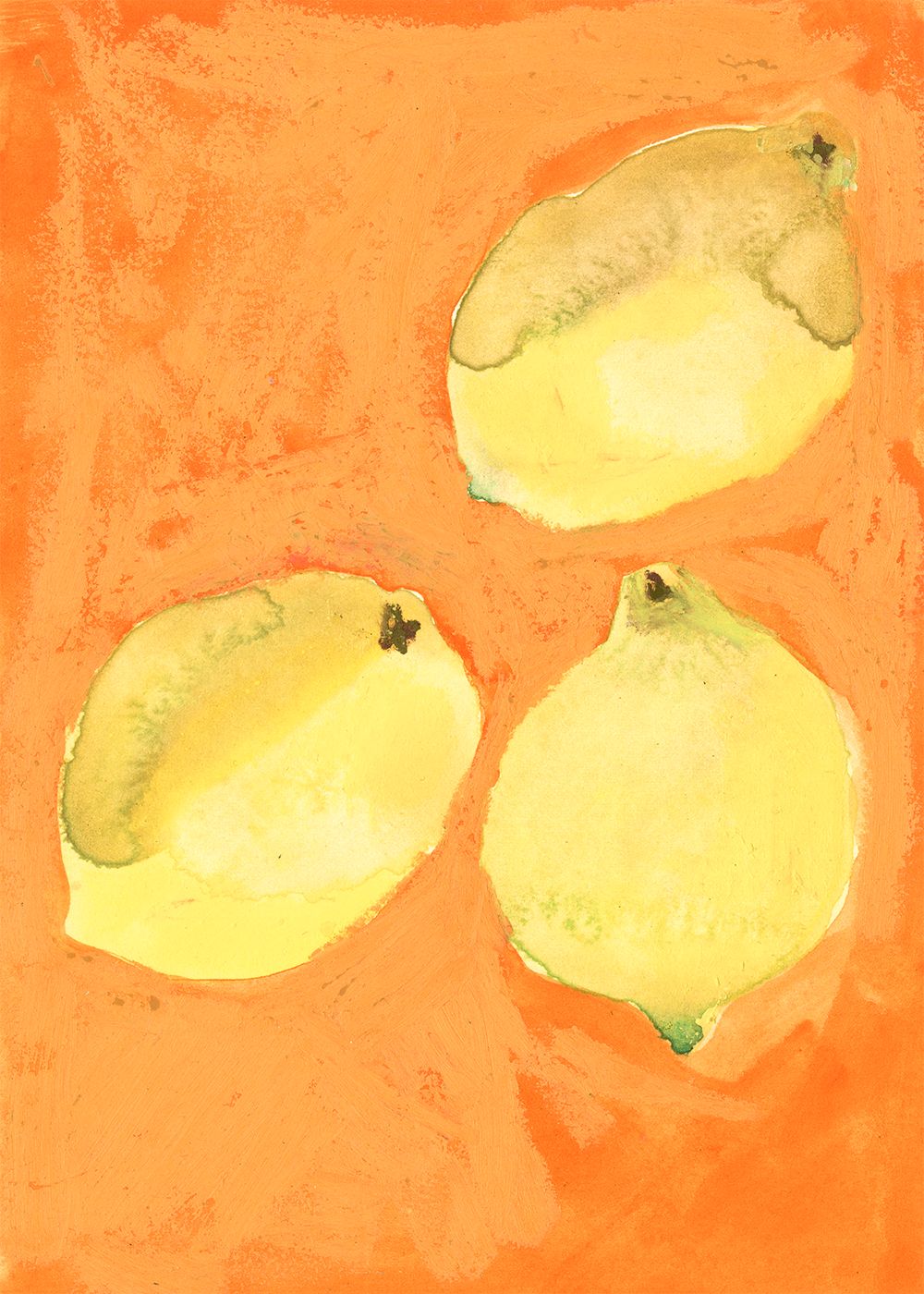 Papirkollektiv citroner plakat, 70x100 cm