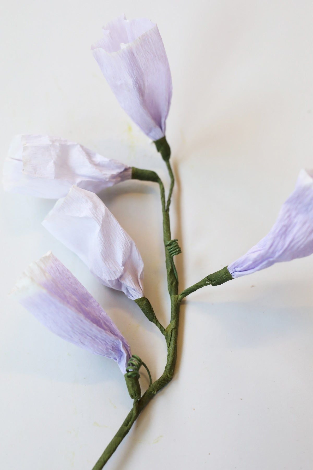 Estudio sobre papel flor tinkerbell, púrpura