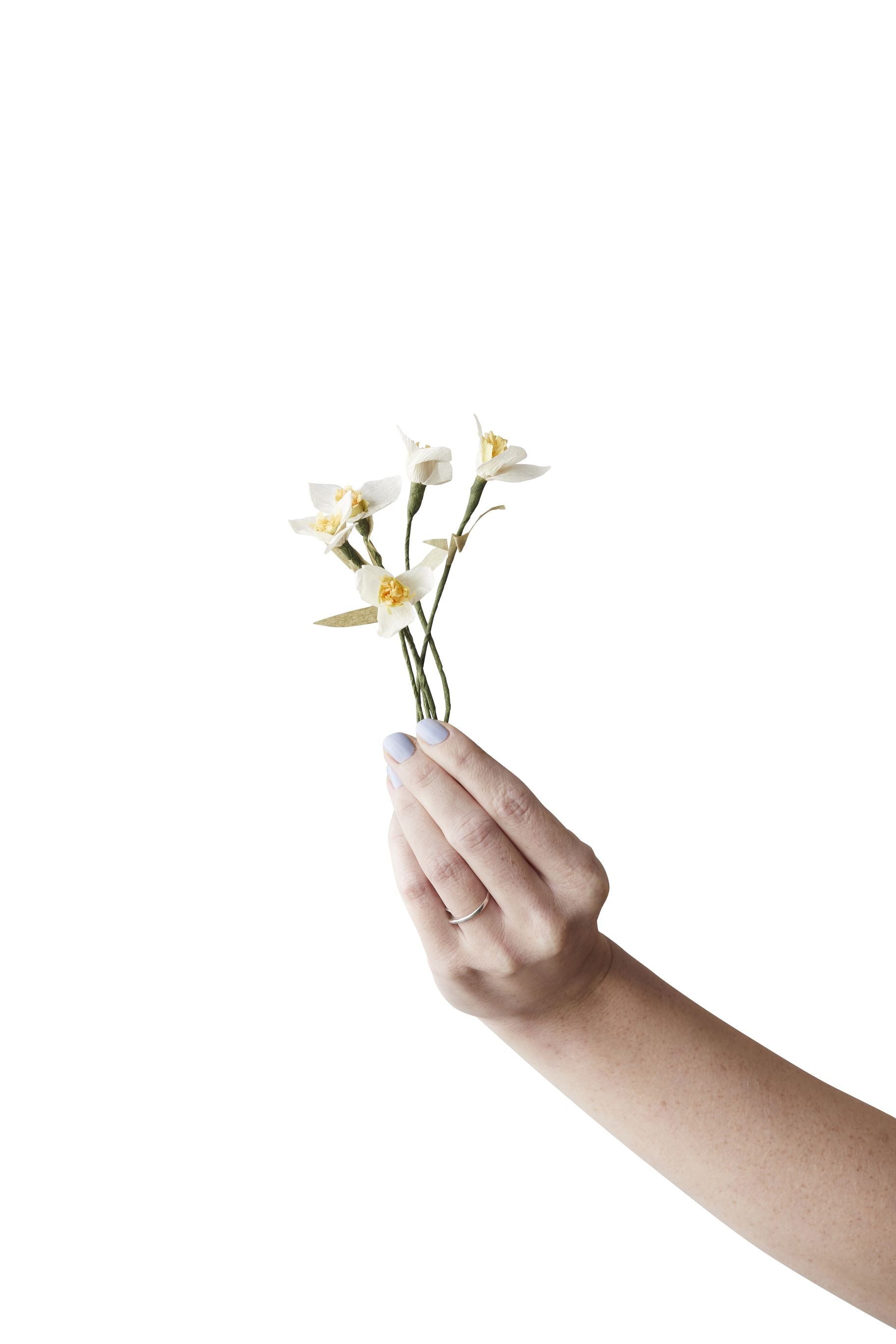 Studio sur du papier de neige de fleur en papier, blanc