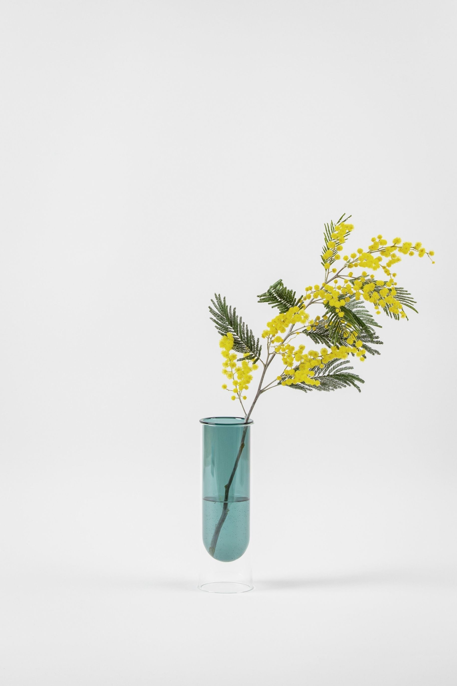 Estudio sobre el jarrón de tubos de flores de 20 cm, Cyan