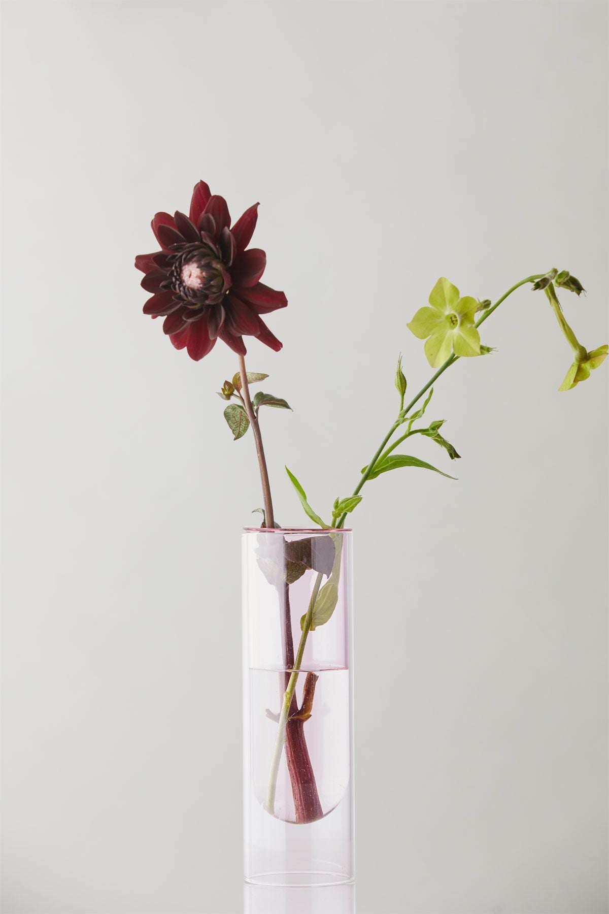 Studio om blomsterrørvase 20 cm, rose