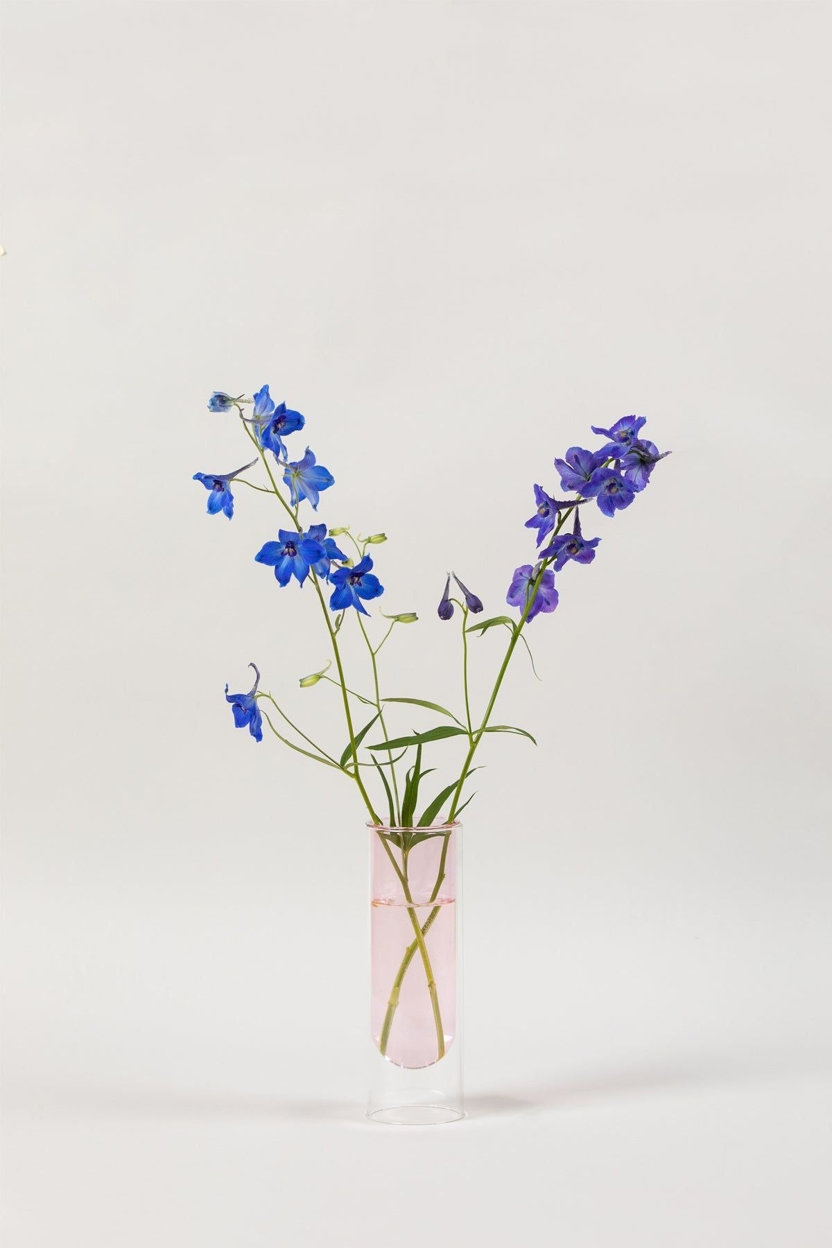 Studio über Blumenrohrvase 20 cm, Rose