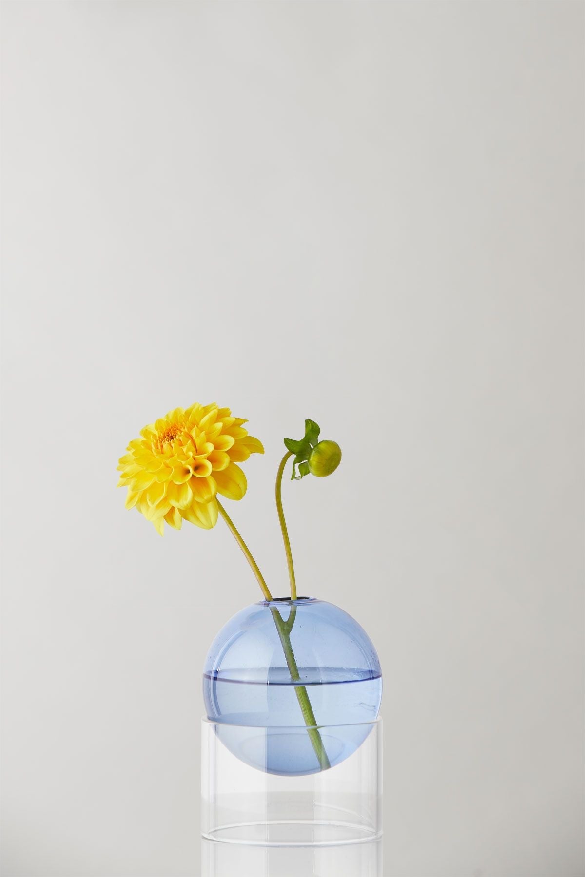 Studio sur le vase à bulles de fleur debout 10 cm, bleu