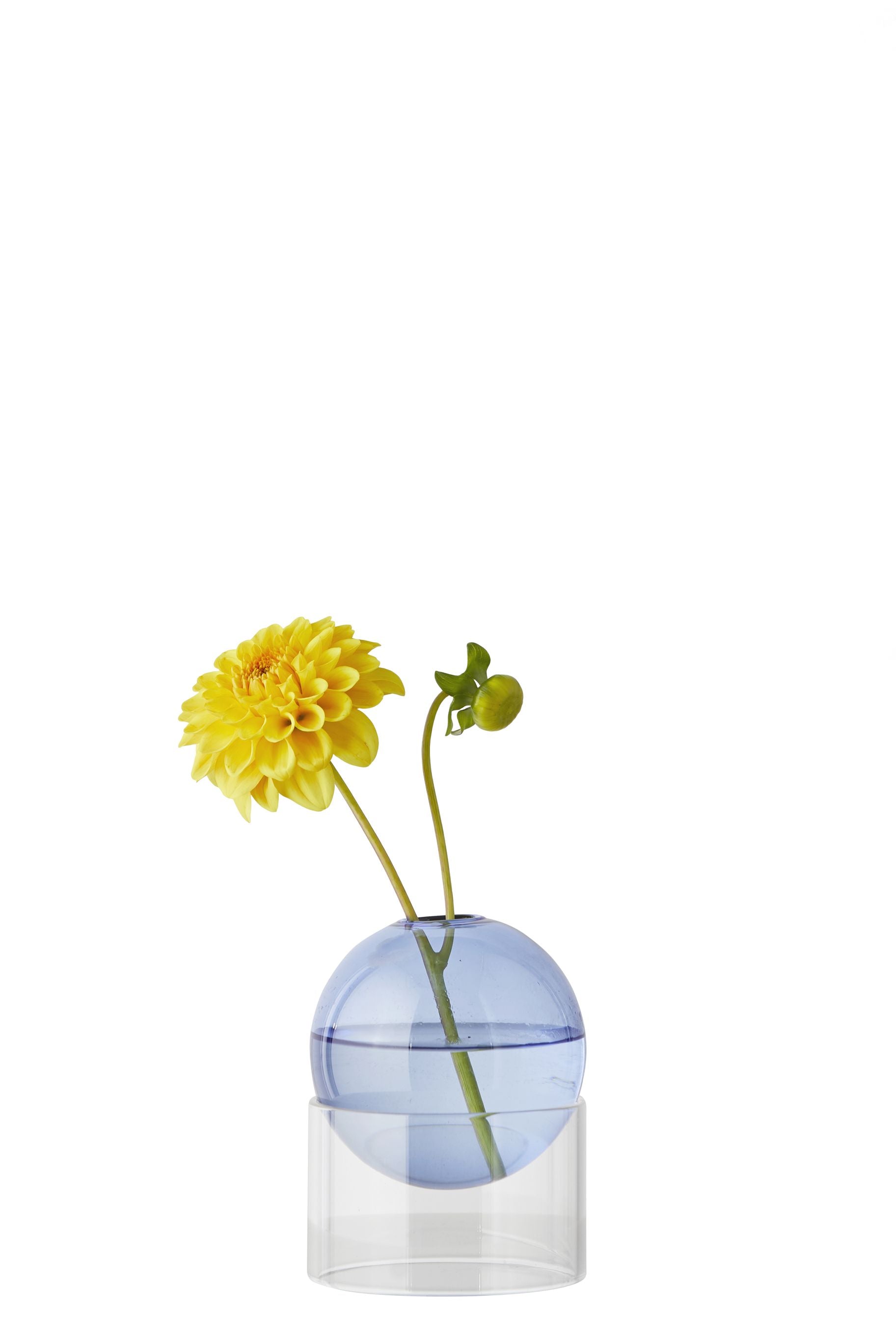 Studio sur le vase à bulles de fleur debout 10 cm, bleu