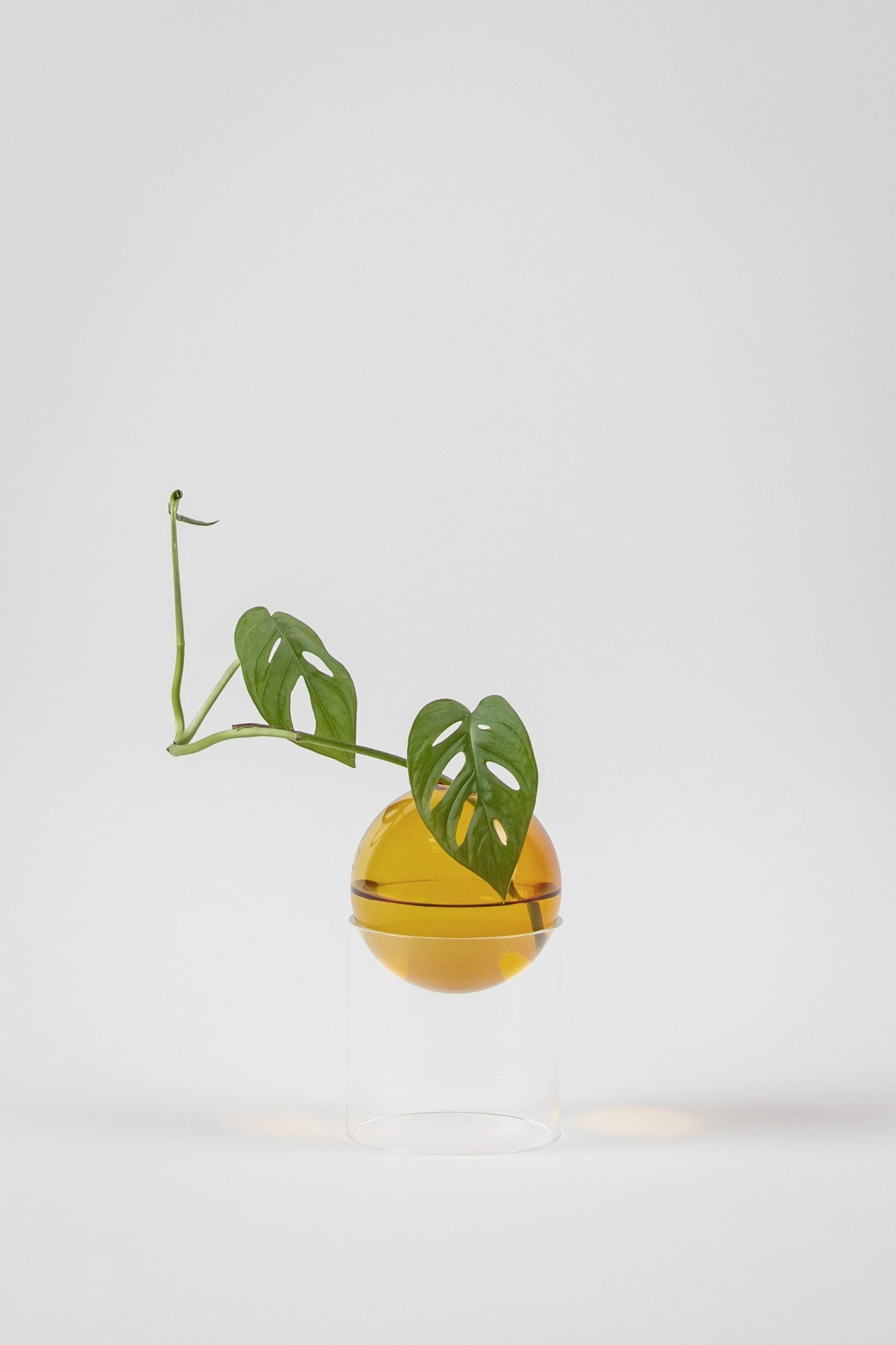 Studio sur le vase de bulles de fleur debout 13 cm, ambre