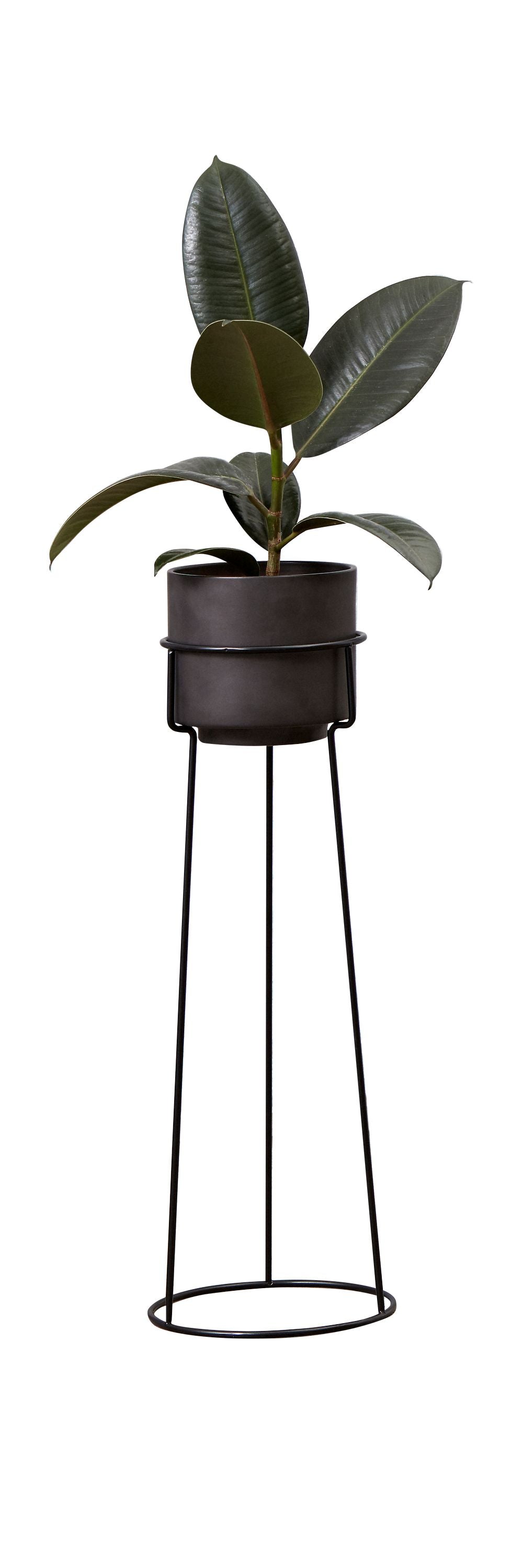 Andersen Möbel ein Pflanzenblumenständer, H 48 cm