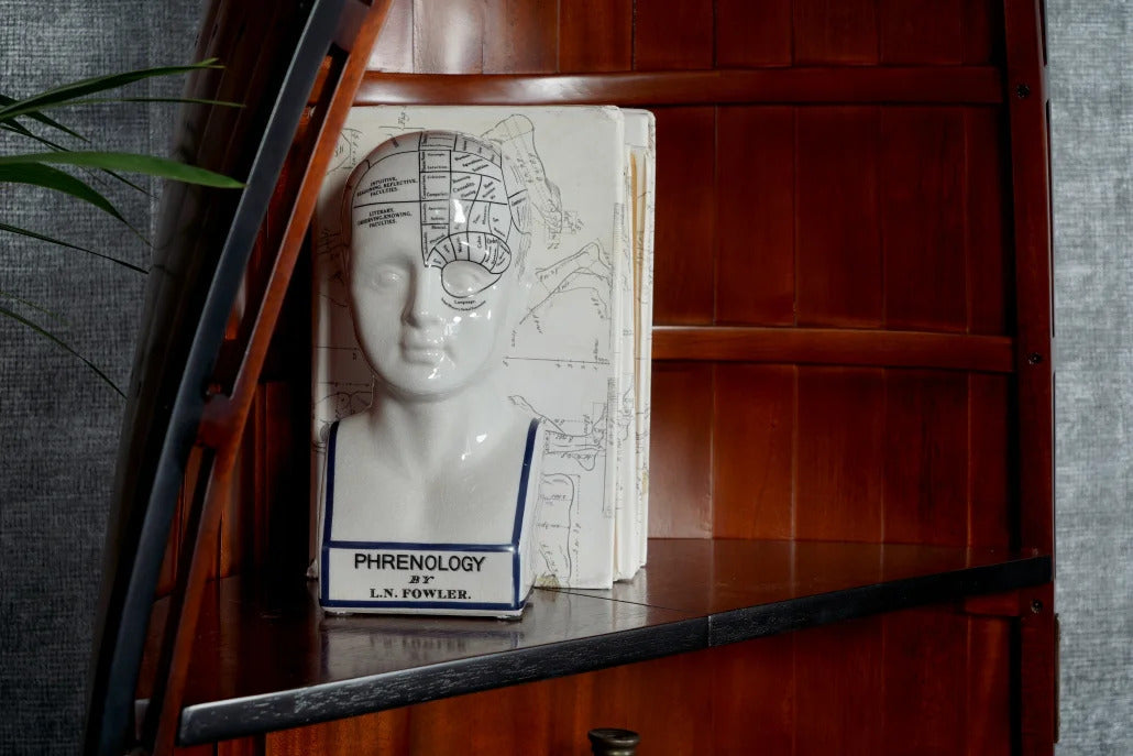 Authentic Models Phrenological Head