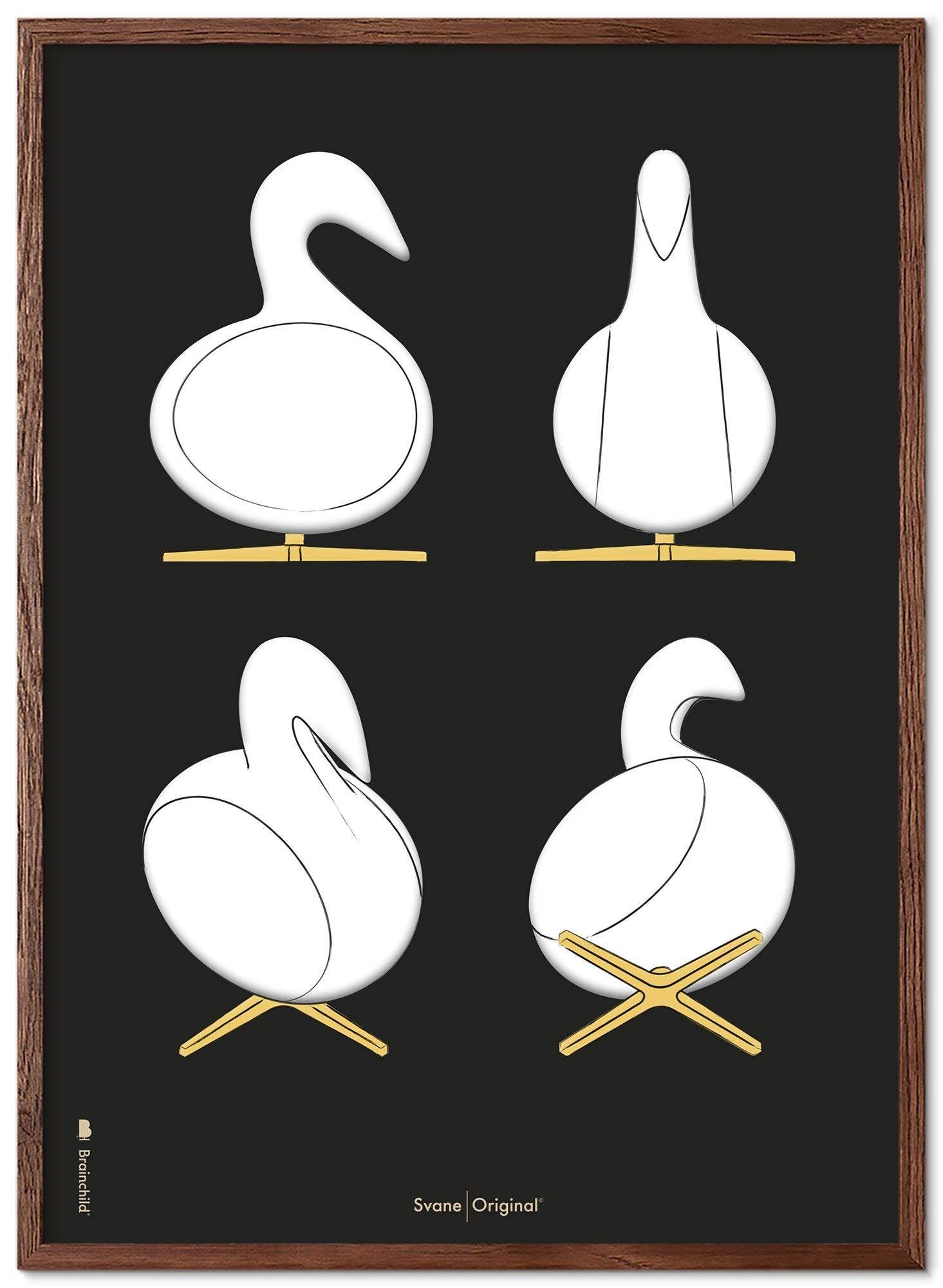 Brainchild Swan Design Sketches Poster Frame lavet af Dark Wood 70x100 cm, sort baggrund