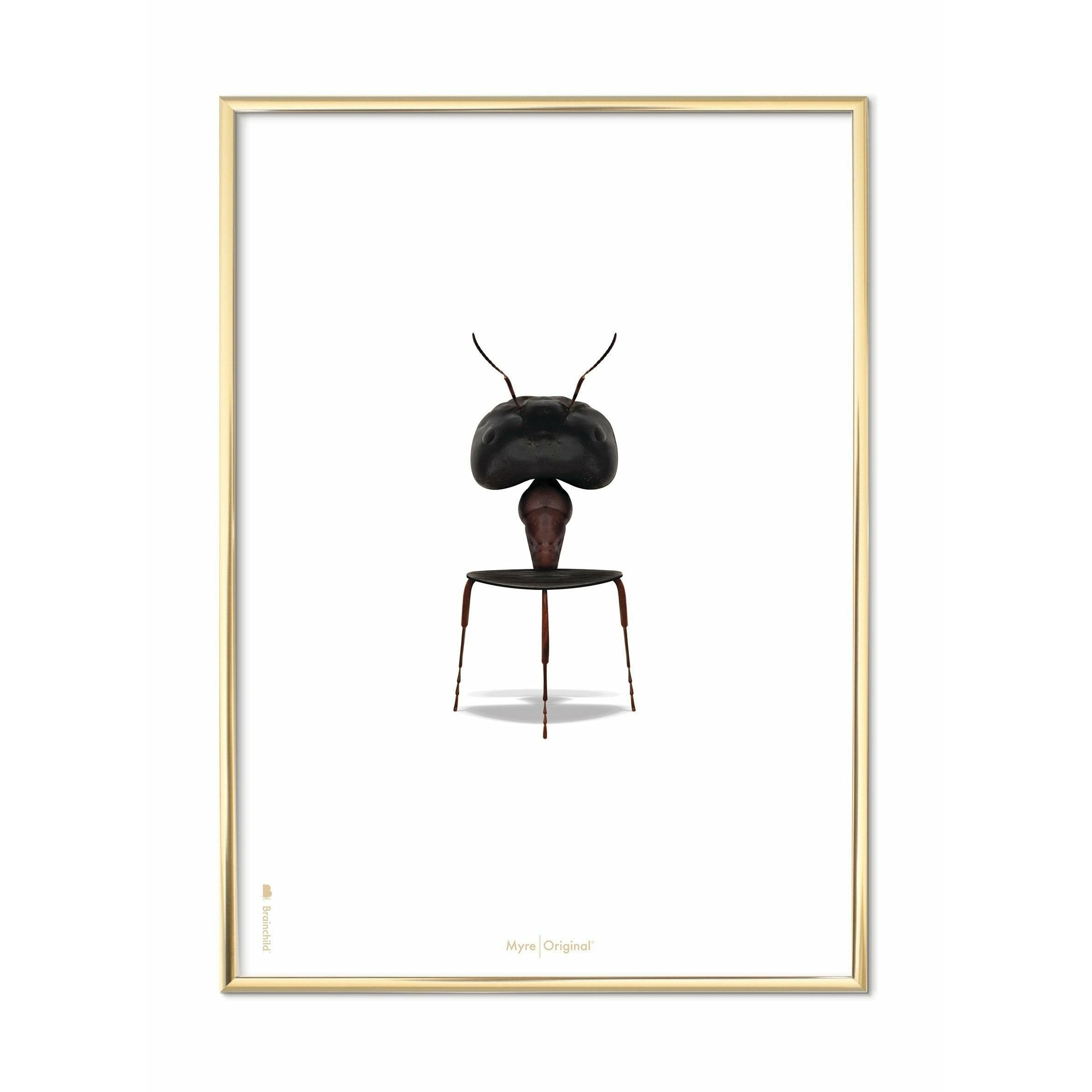 Affiche classique de la fourmi conçue, cadre coloré en laiton 50x70 cm, fond blanc