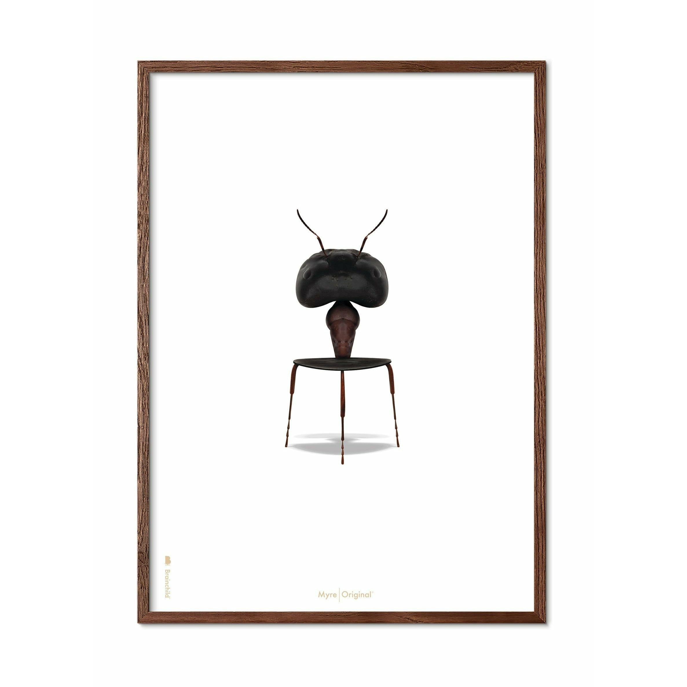 Affiche classique de fourmi, sombre, cadre en bois foncé 30x40 cm, fond blanc