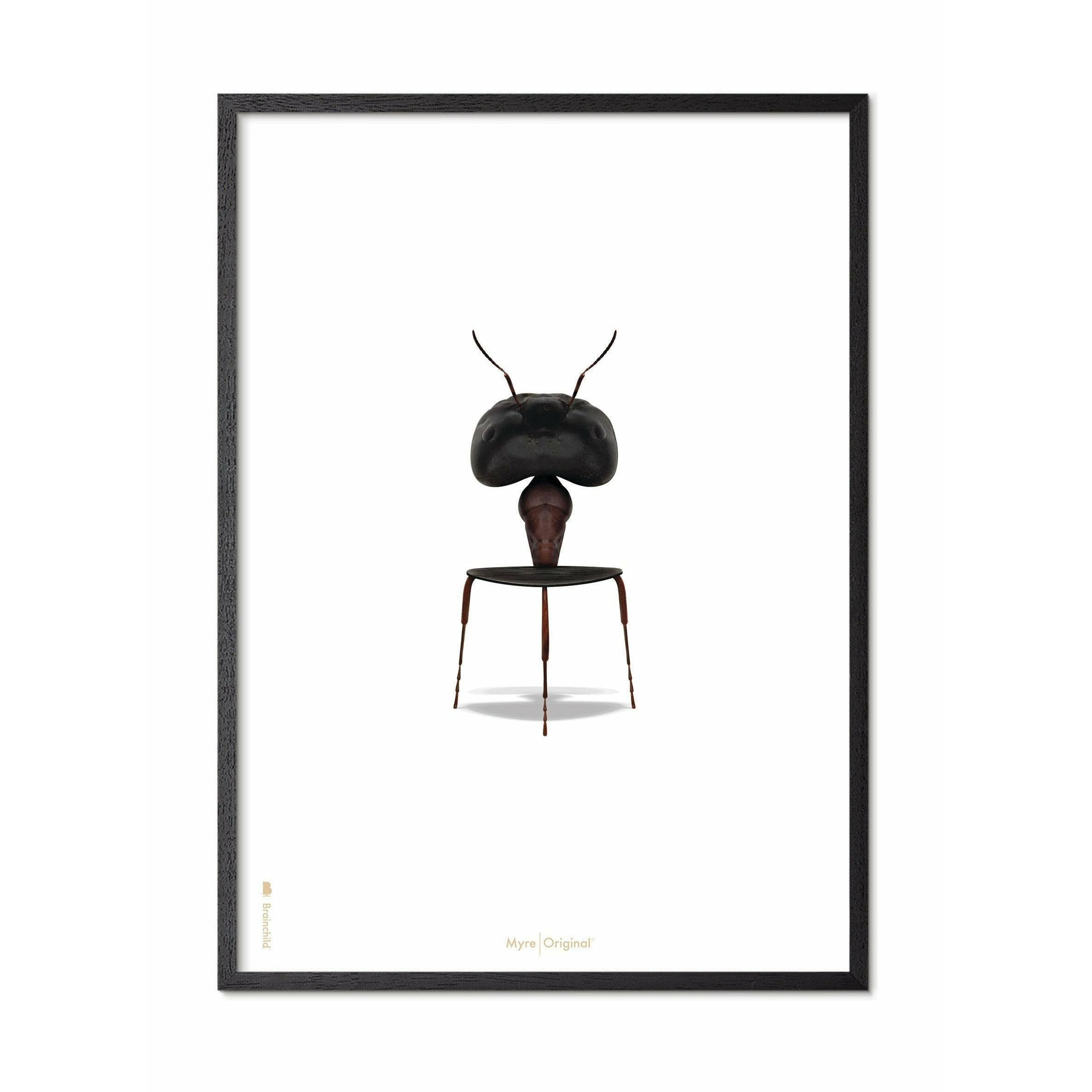 Affiche classique de fourmi brassée, cadre en bois de laquille noir A5, fond blanc