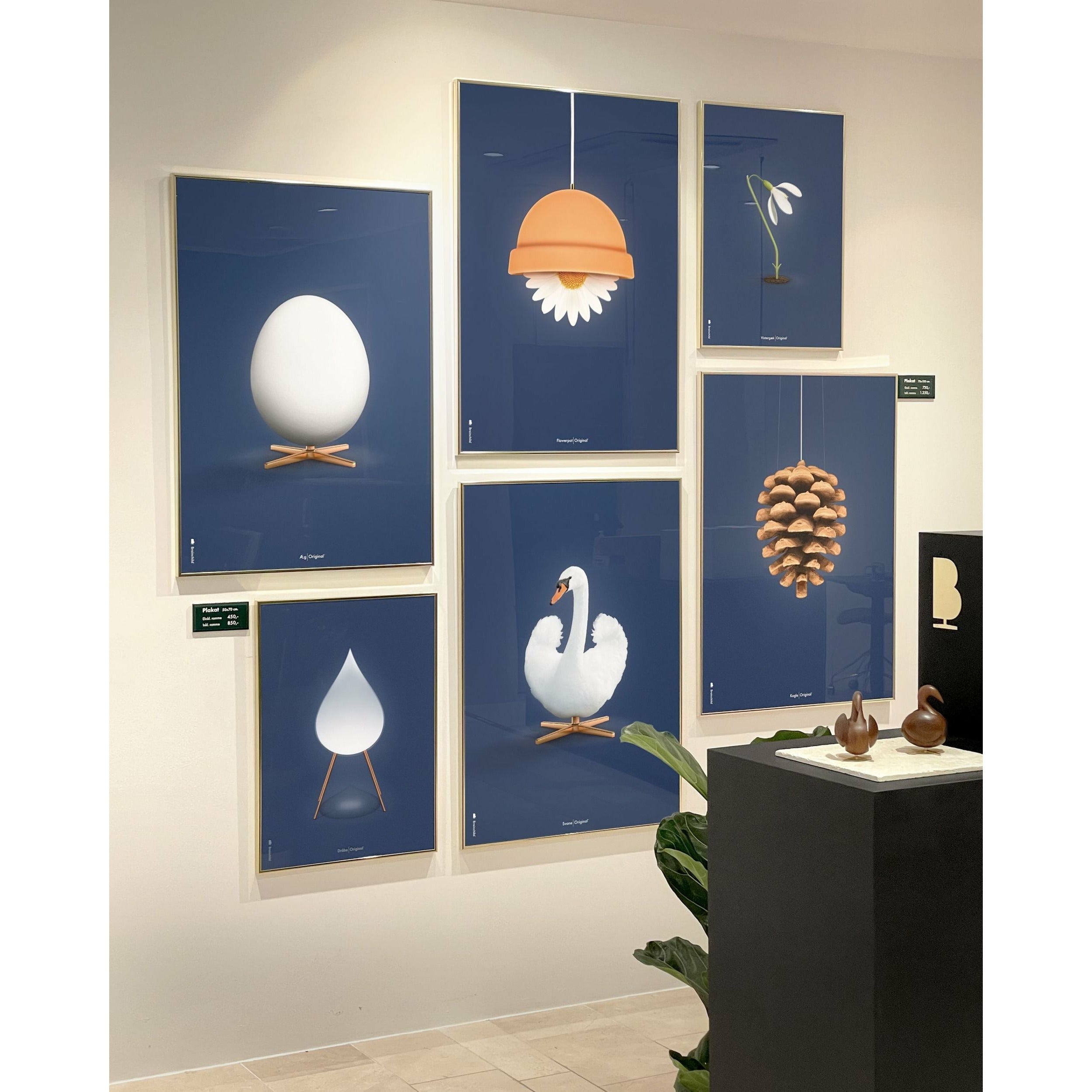 Affiche classique d'oeuf conçue, cadre en bois foncé 70 x100 cm, fond bleu foncé